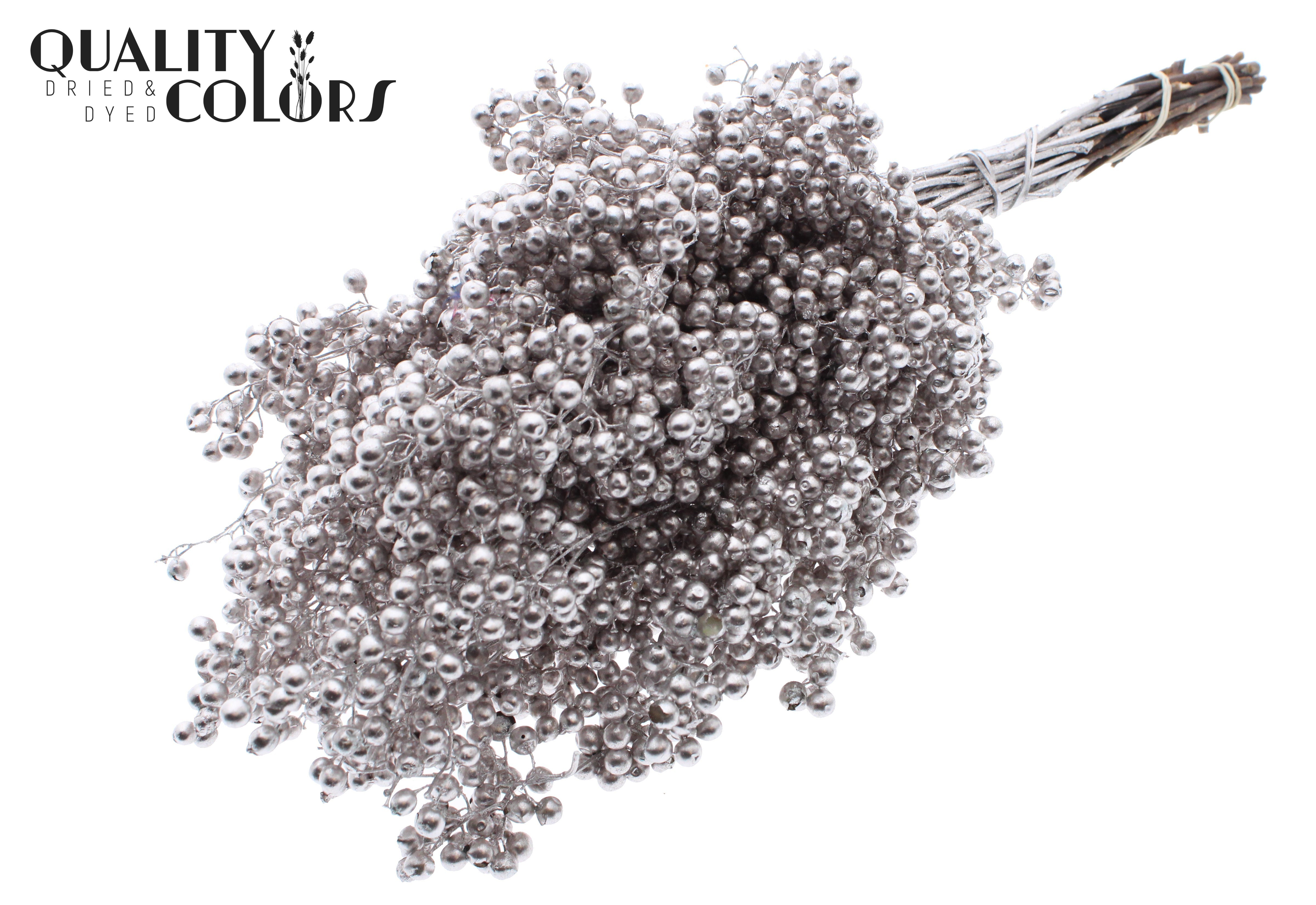 Schinus Mollis Champagne Per Bunch