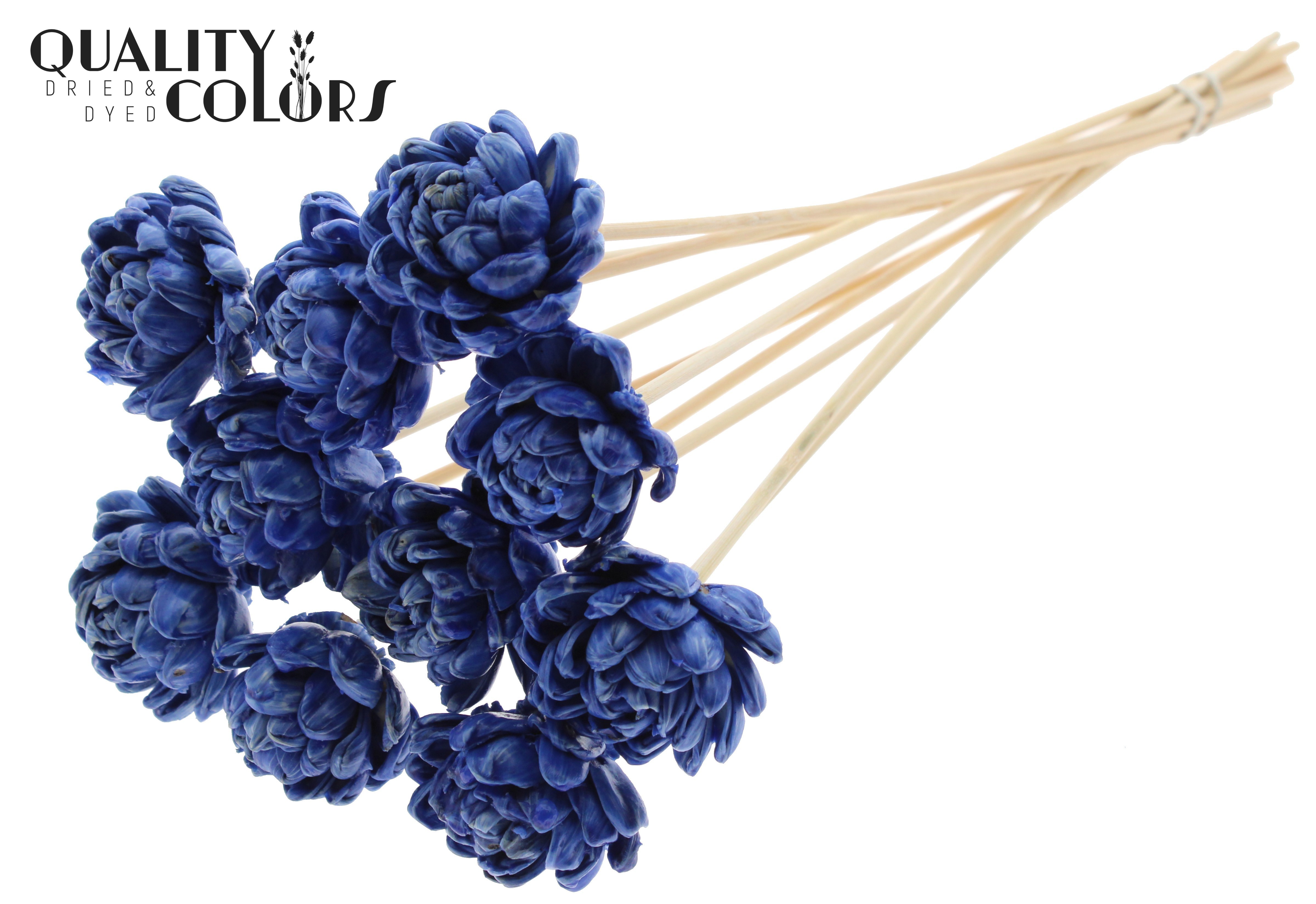 Shola New Beauty Rose Wax Blue 50cm