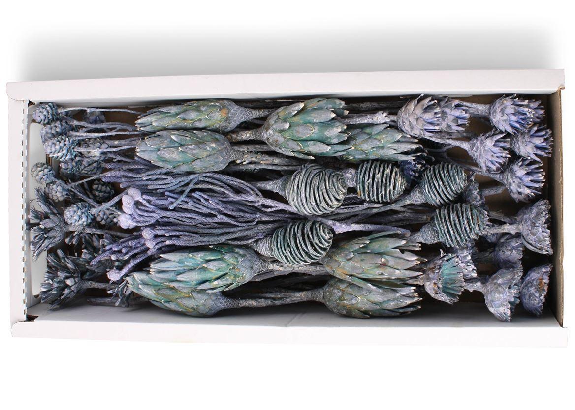 Exotic Assorti Blue Frosted ( 70 St )