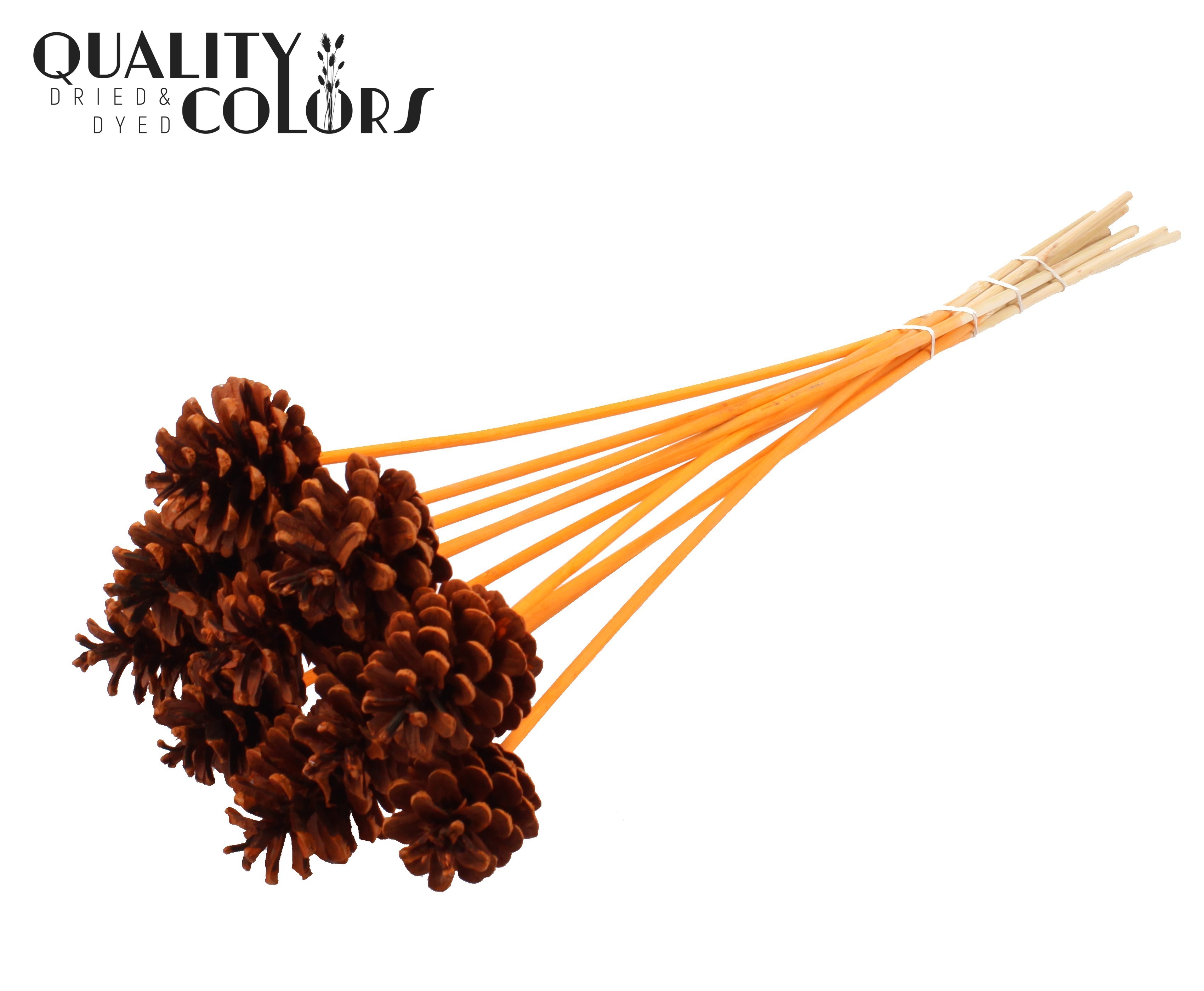 Pine Cone Orange 50cm