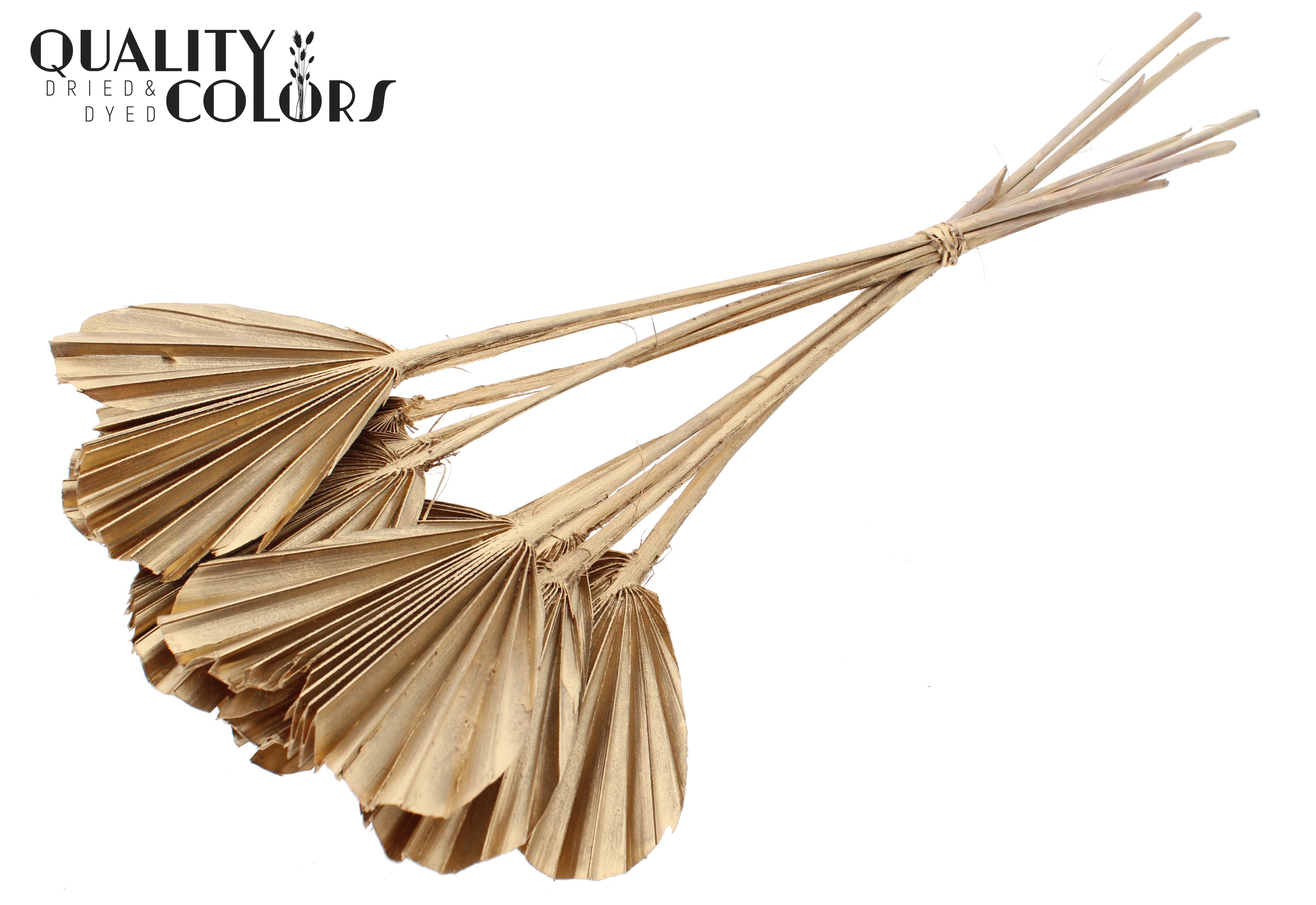 Palm Spear Heart Antique Gold 45cm