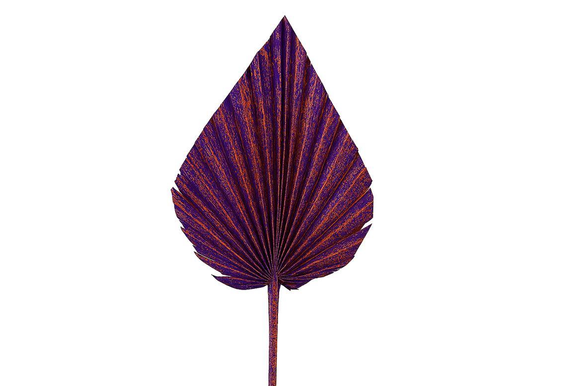 Dried Artz Palm Spear Xl Vermeer P Stem