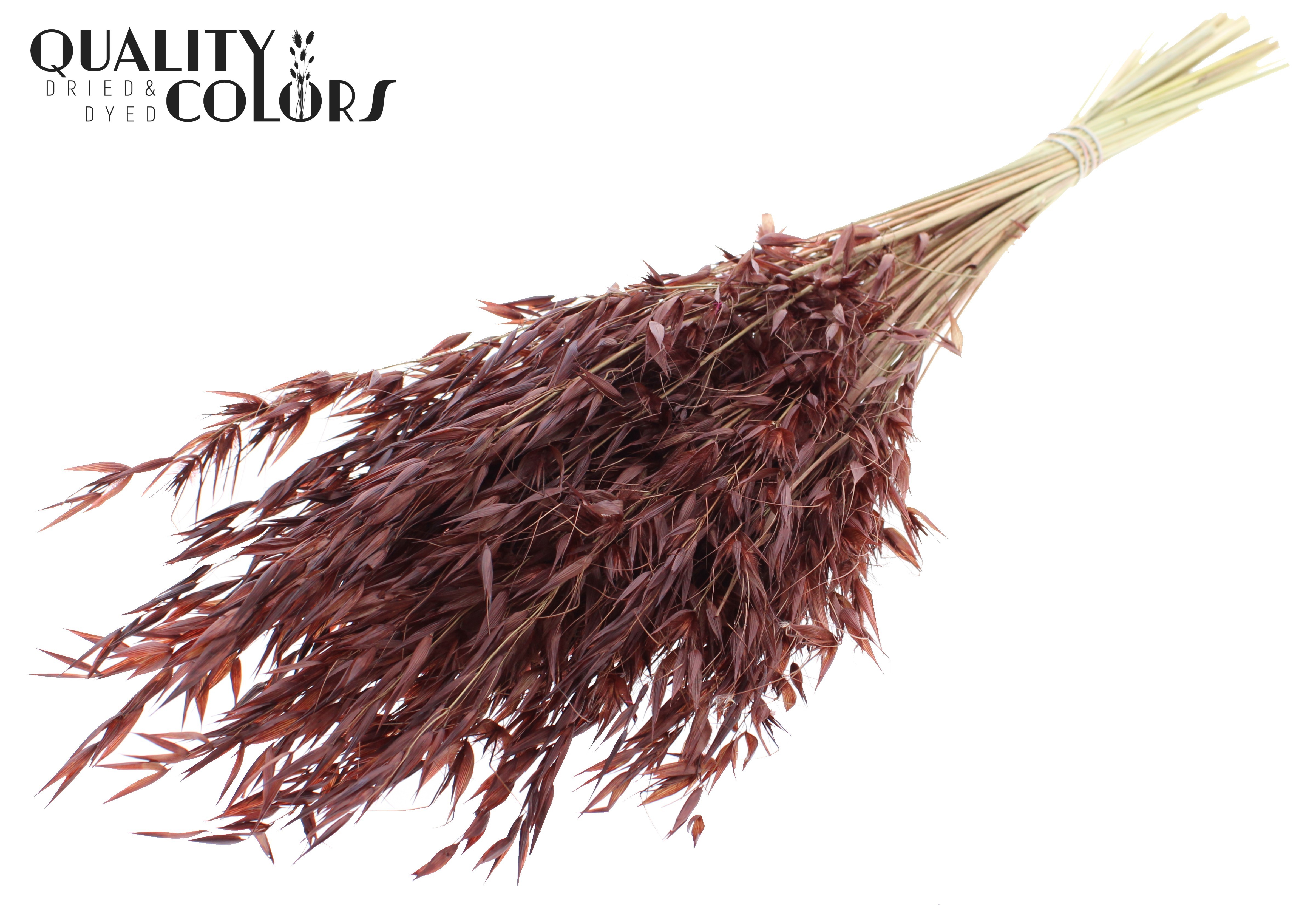 Avena Brown Per Bunch 70cm