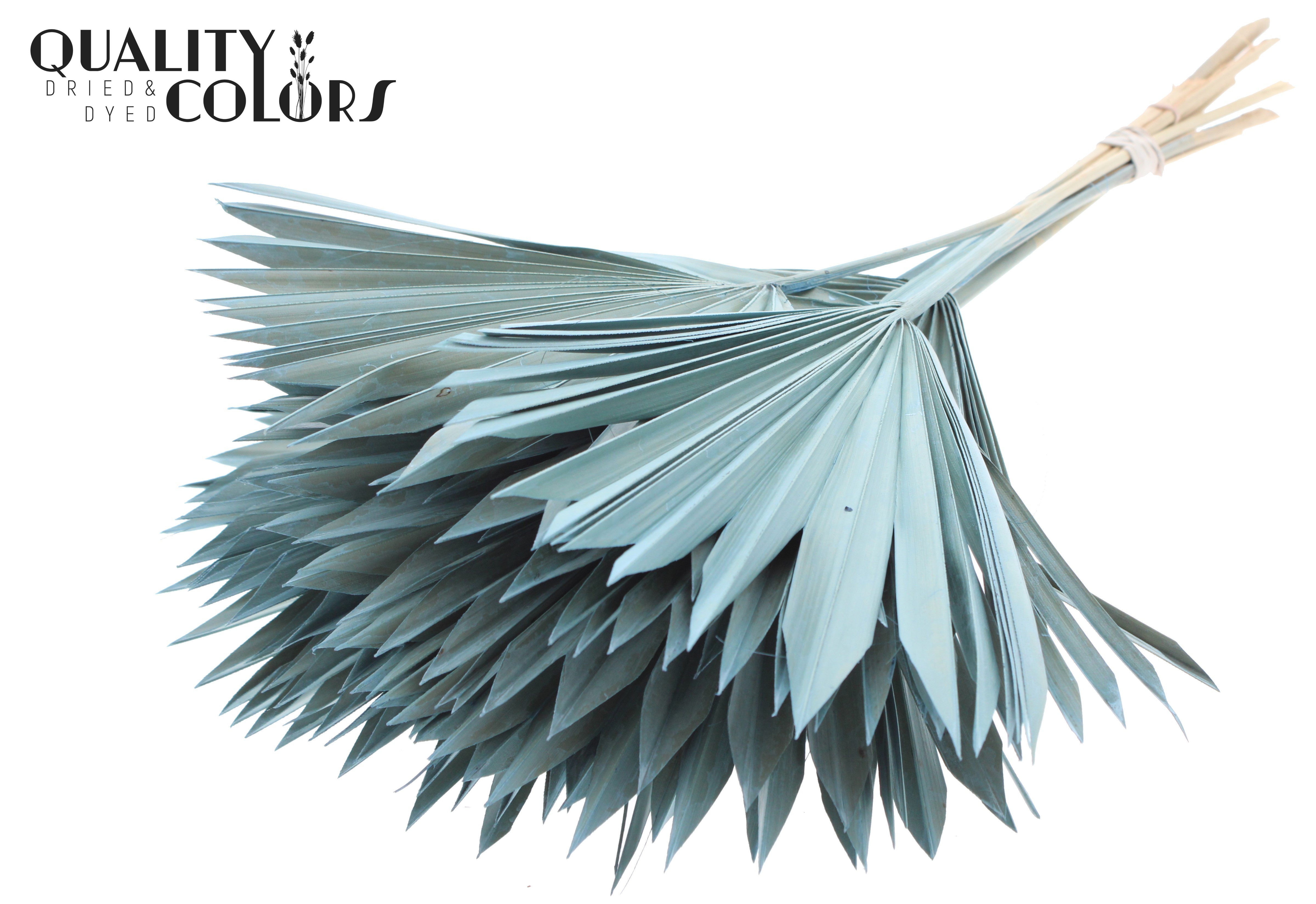 Palm Sun Frosted Frosted Light Blue 50cm