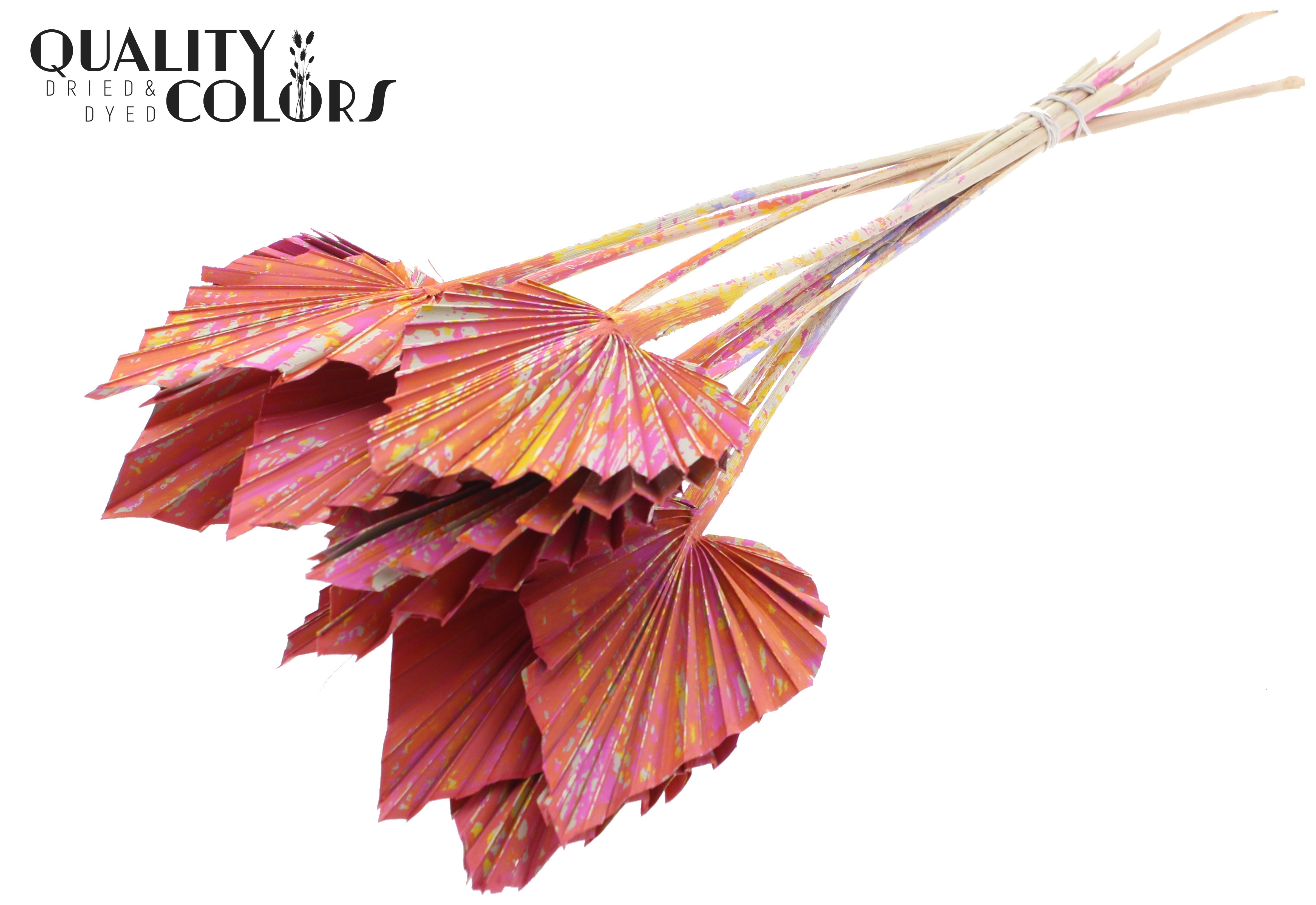 Palm Sun Multicolour Cerise 50cm