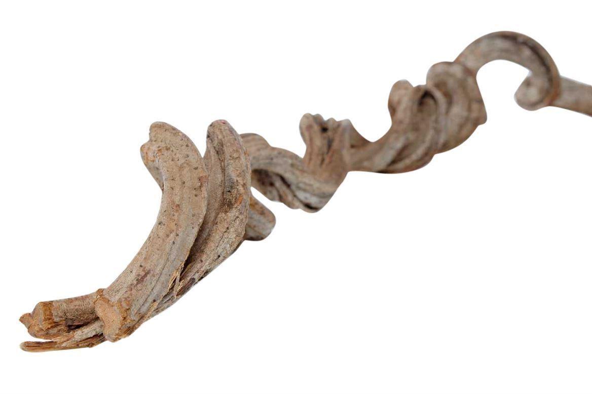 Cipo Rosca D8-12 L70-80