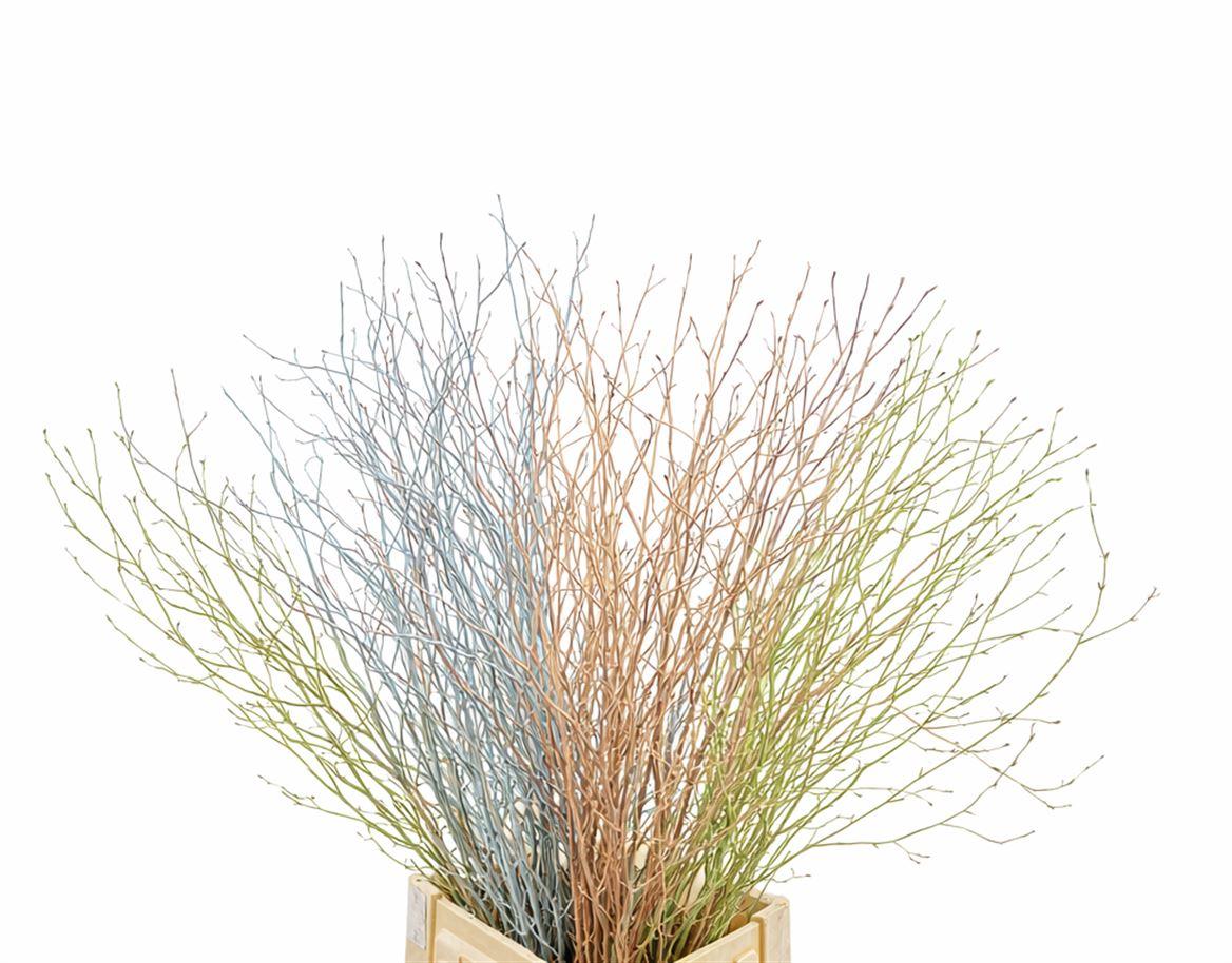 Berk 70cm Pastel Mix Bunch