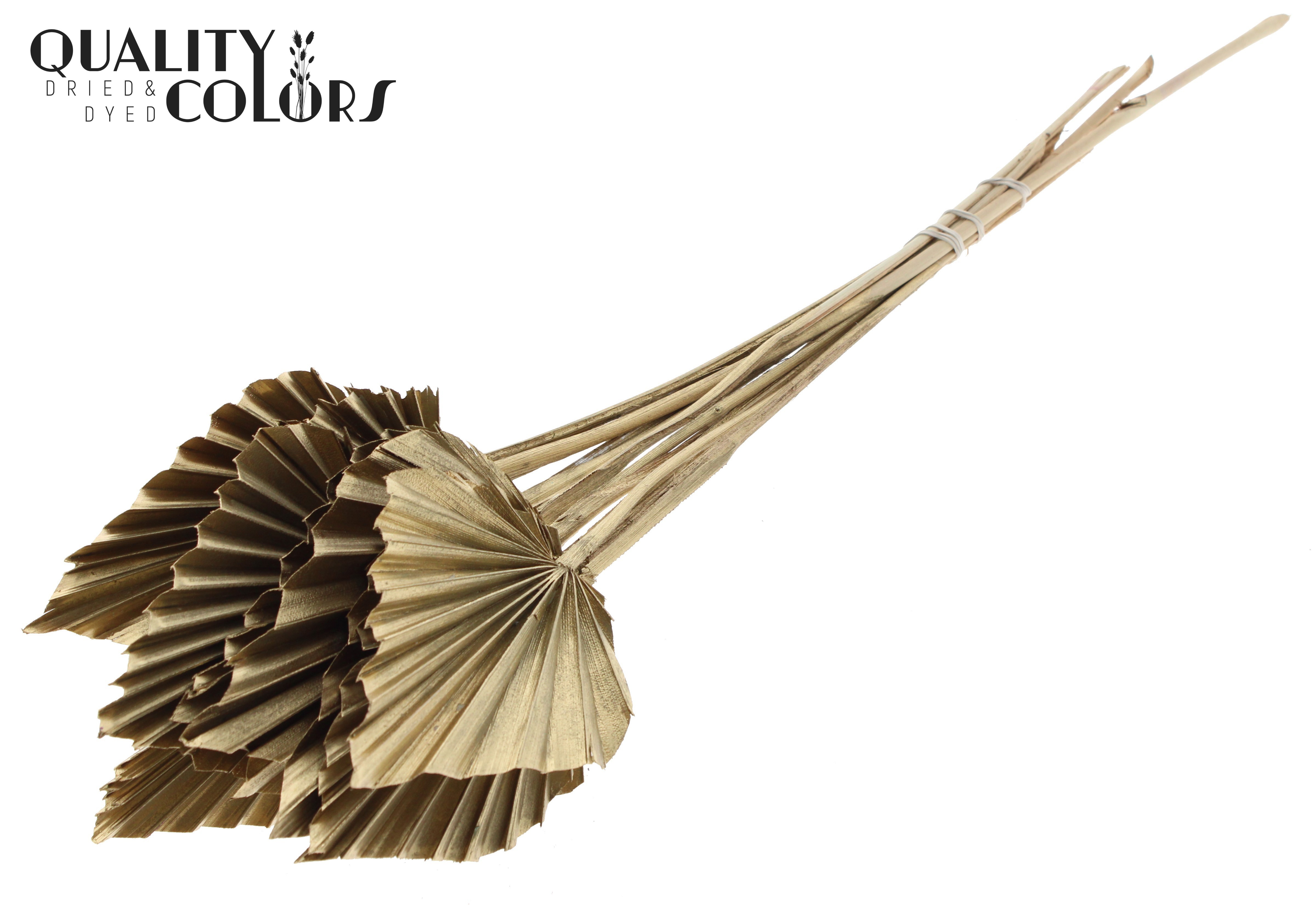 Palm Spear Antique Gold 50cm