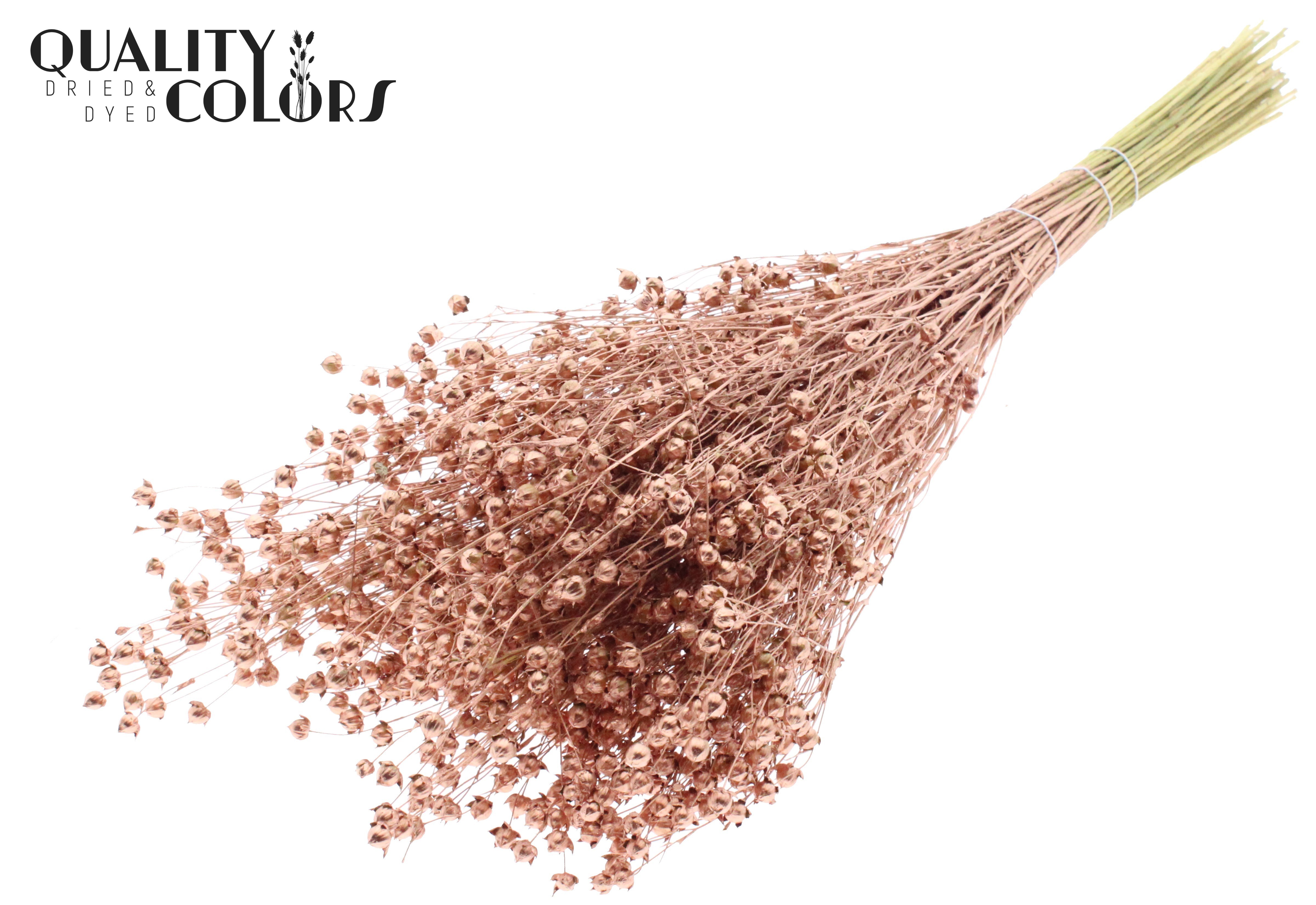 Lino Flax Copper Per Bunch 50cm