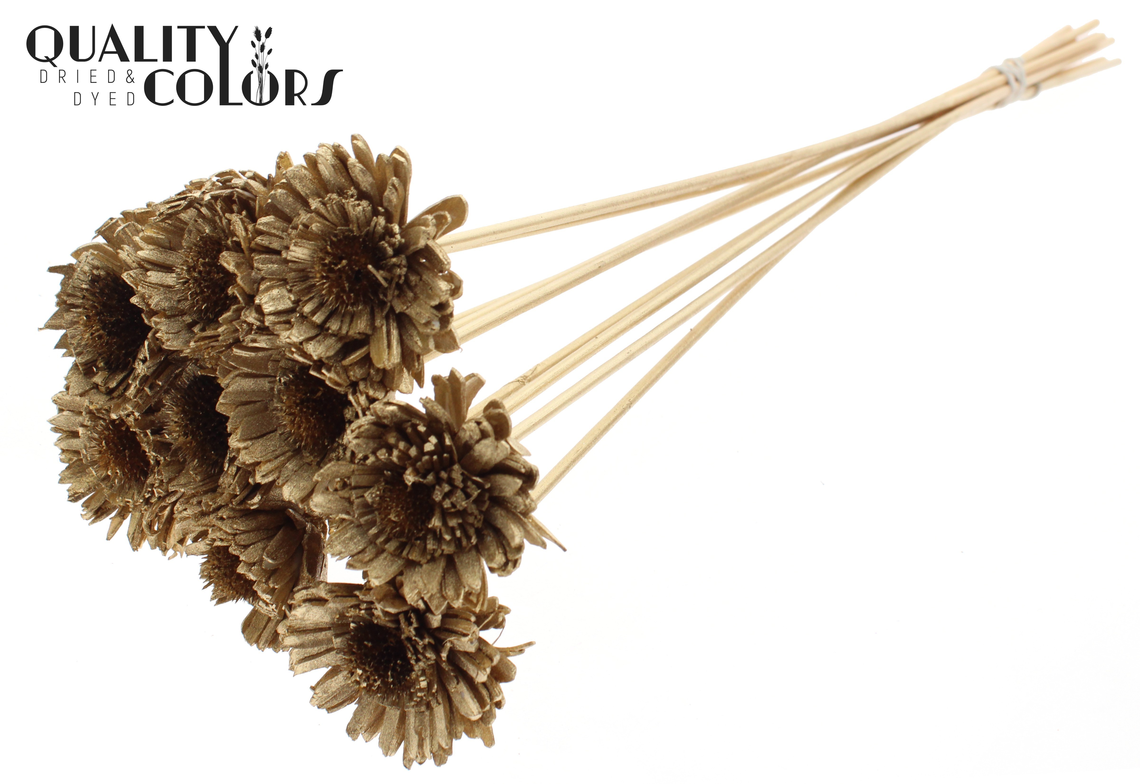 Shola Daisy Sunflower Antique Gold 50cm