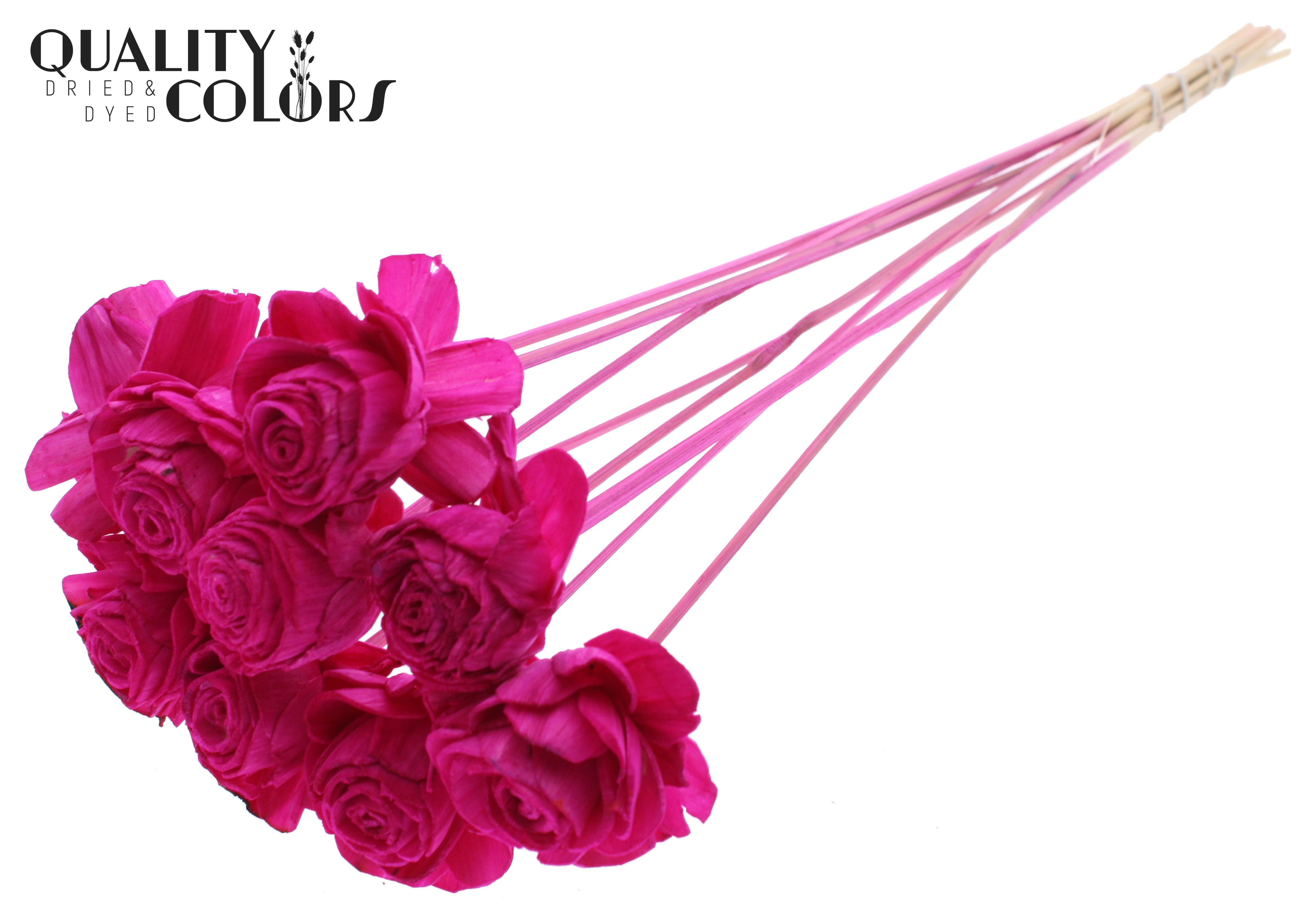 Shola Beauty Rose Lilac 50cm