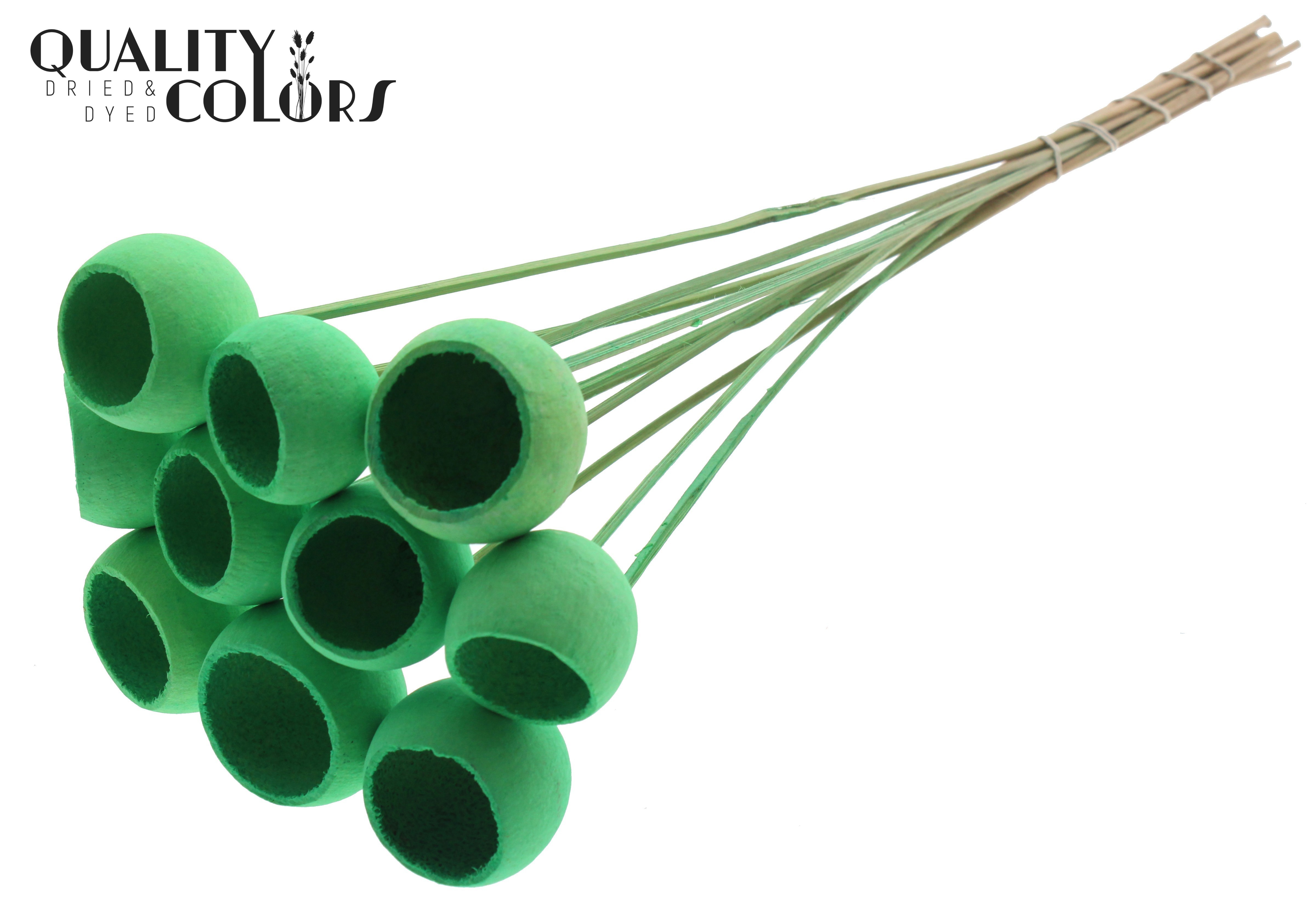 Bell Cup Intense Mint Green 50cm