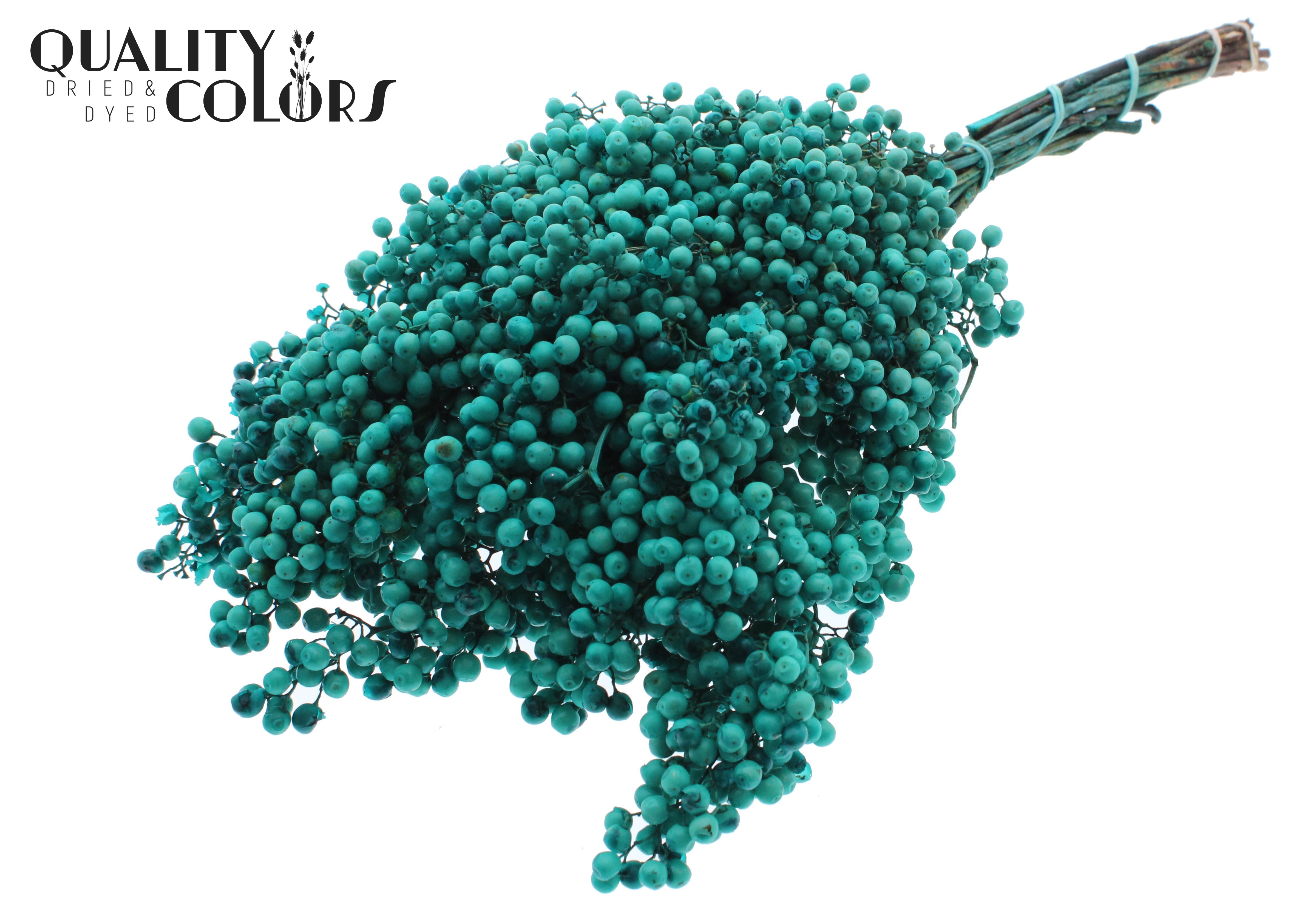 Schinus Mollis Turquoise Per Bunch