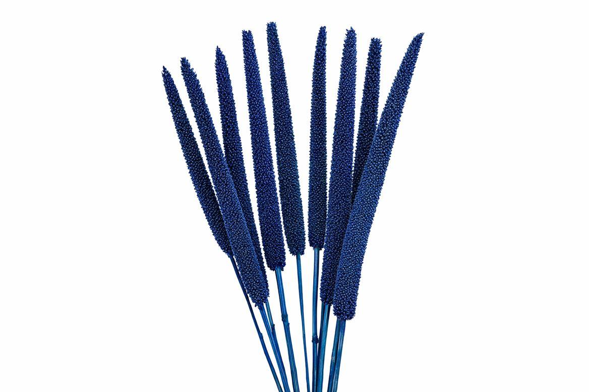 Dried Babala X5 10pc Dark Blue Bunch