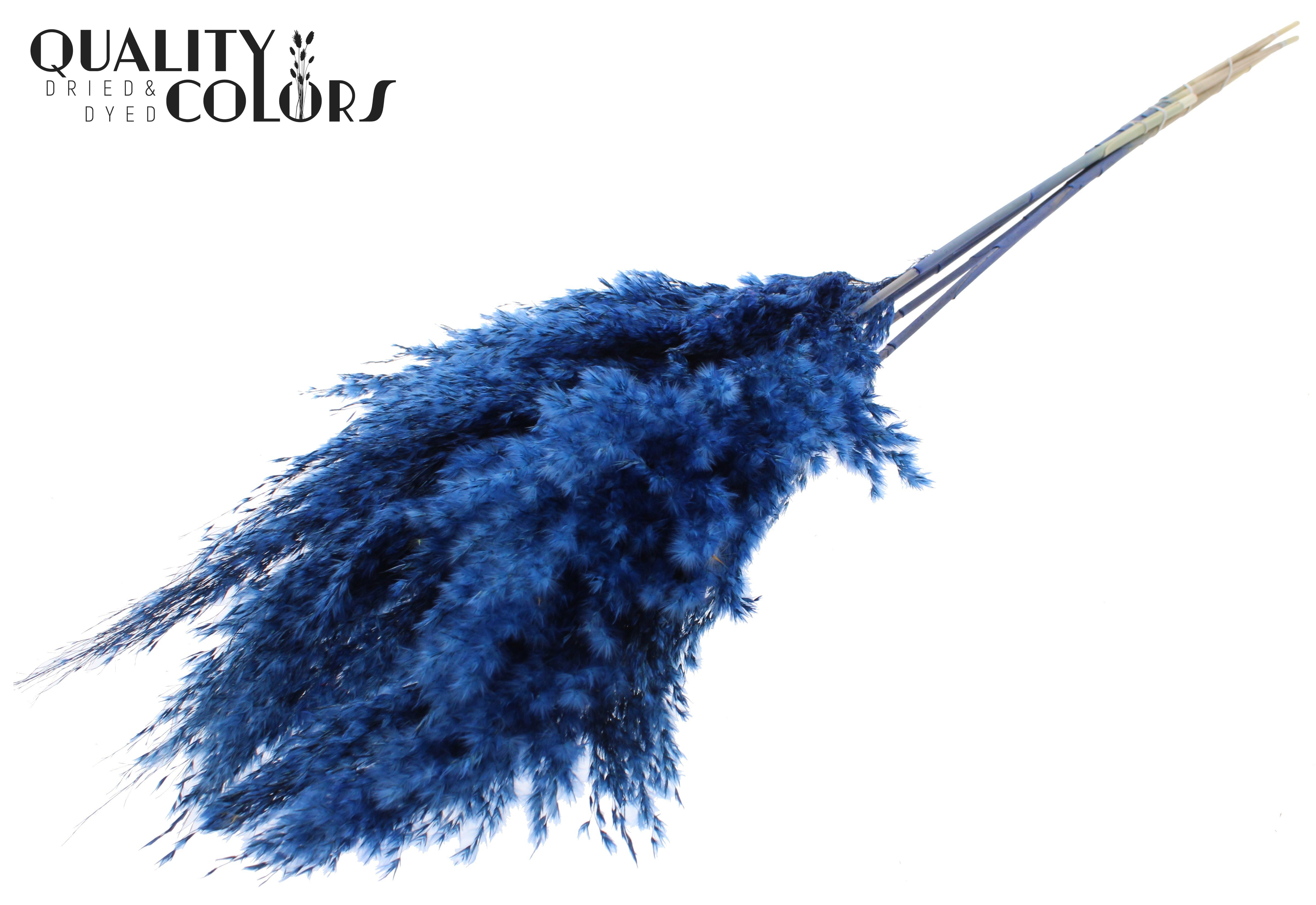 Pampas Grass Dark Blue Per Bunch 100cm