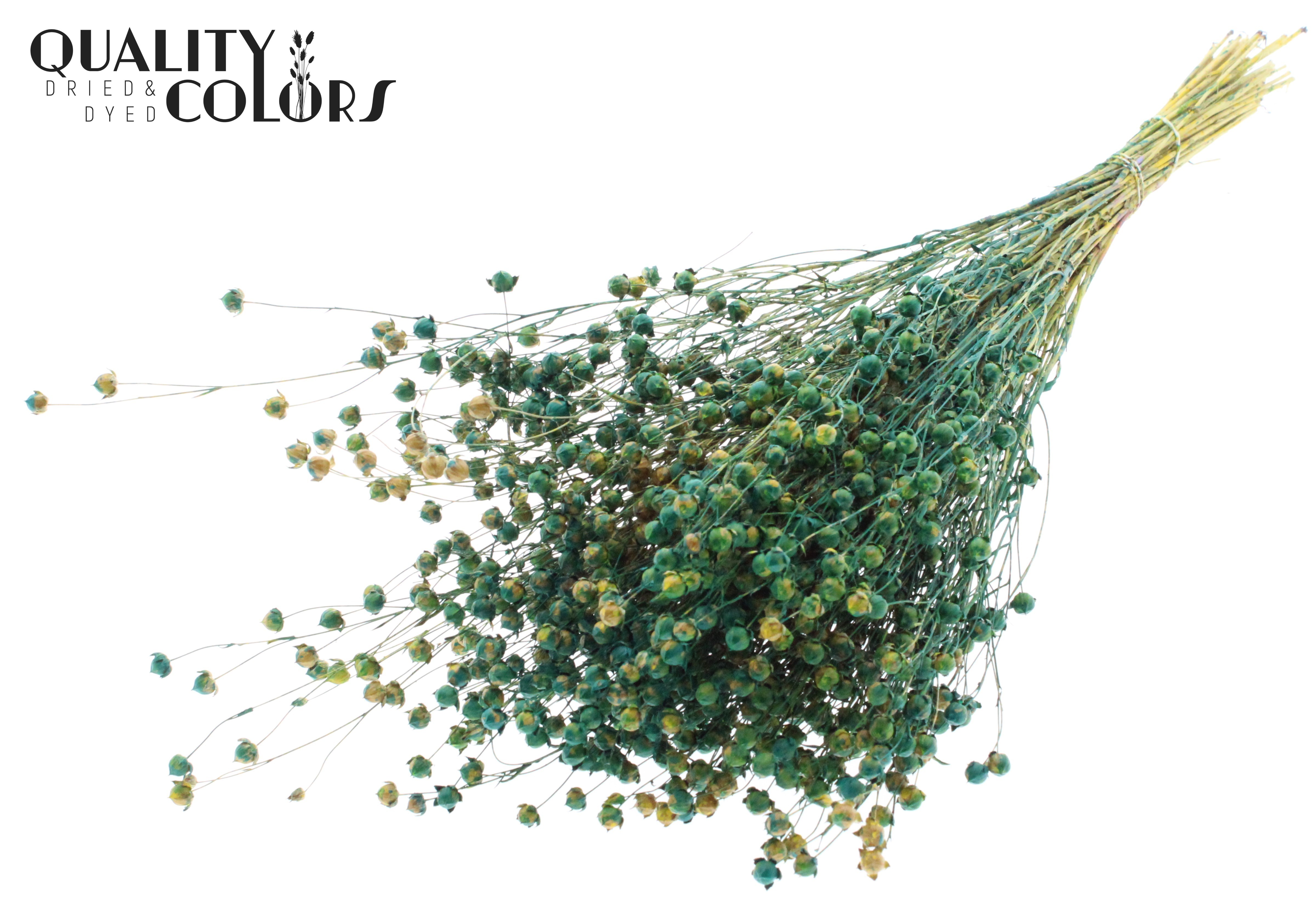 Lino Flax Green Per Bunch 50cm