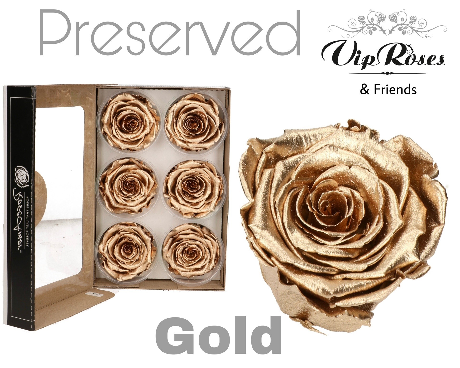 R Preserved Gold 5 cm