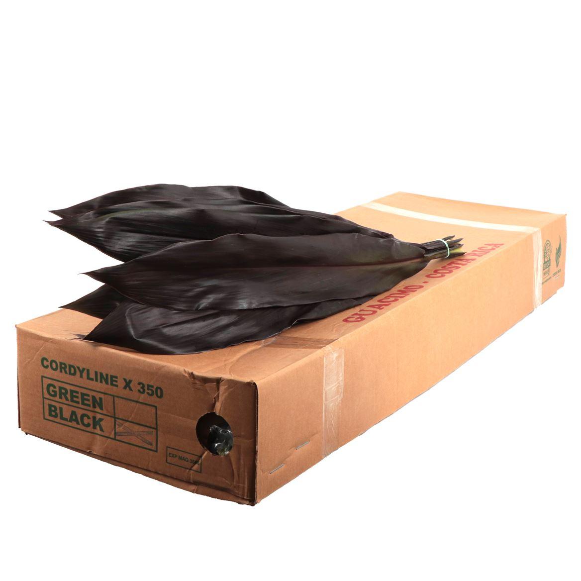 Cord. Black Tie