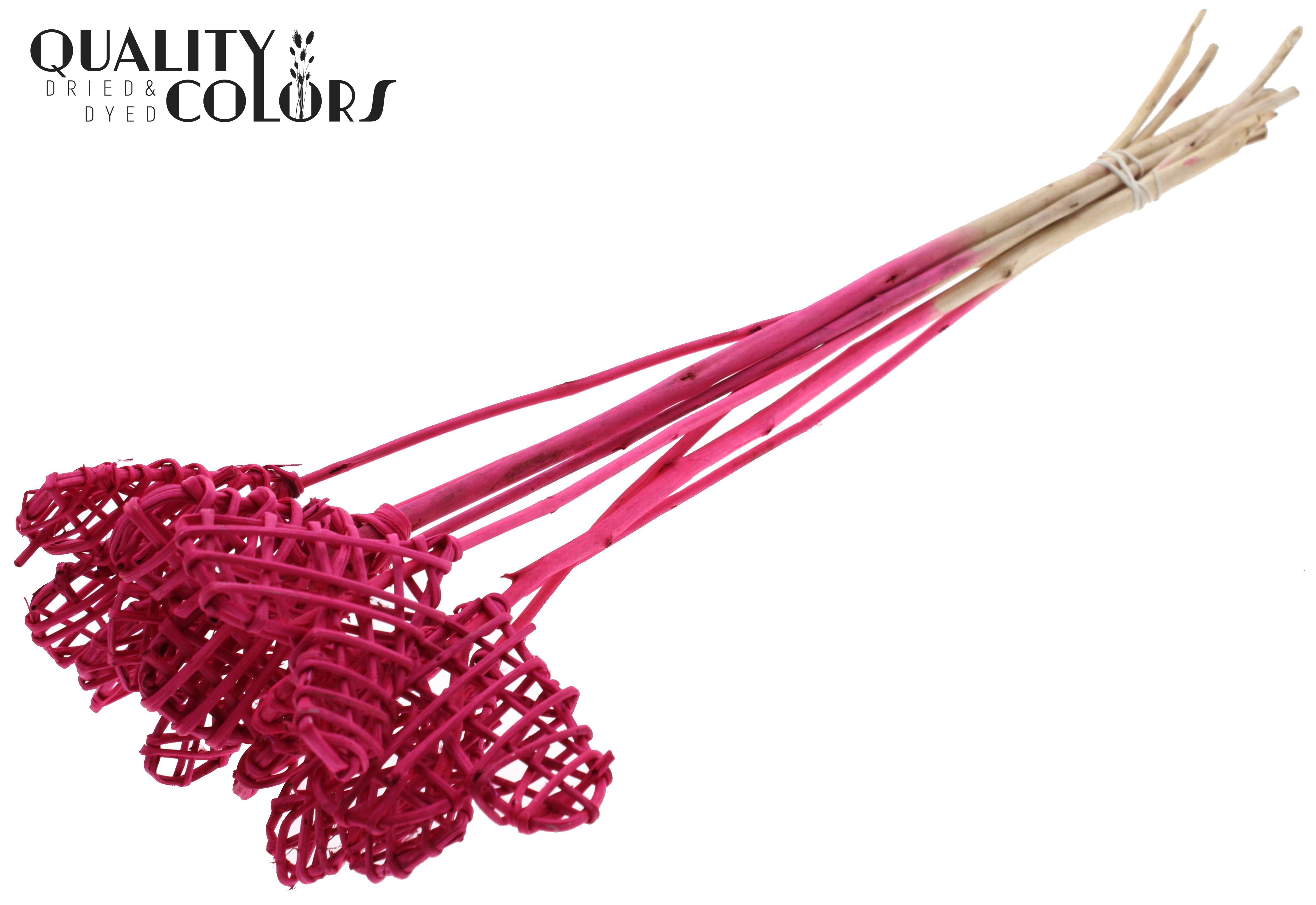 Lata Heart Cerise 50cm