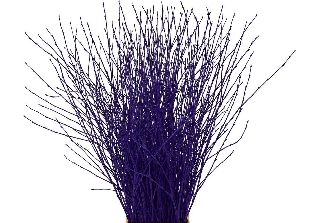 Berk 70cm Paars Pbs