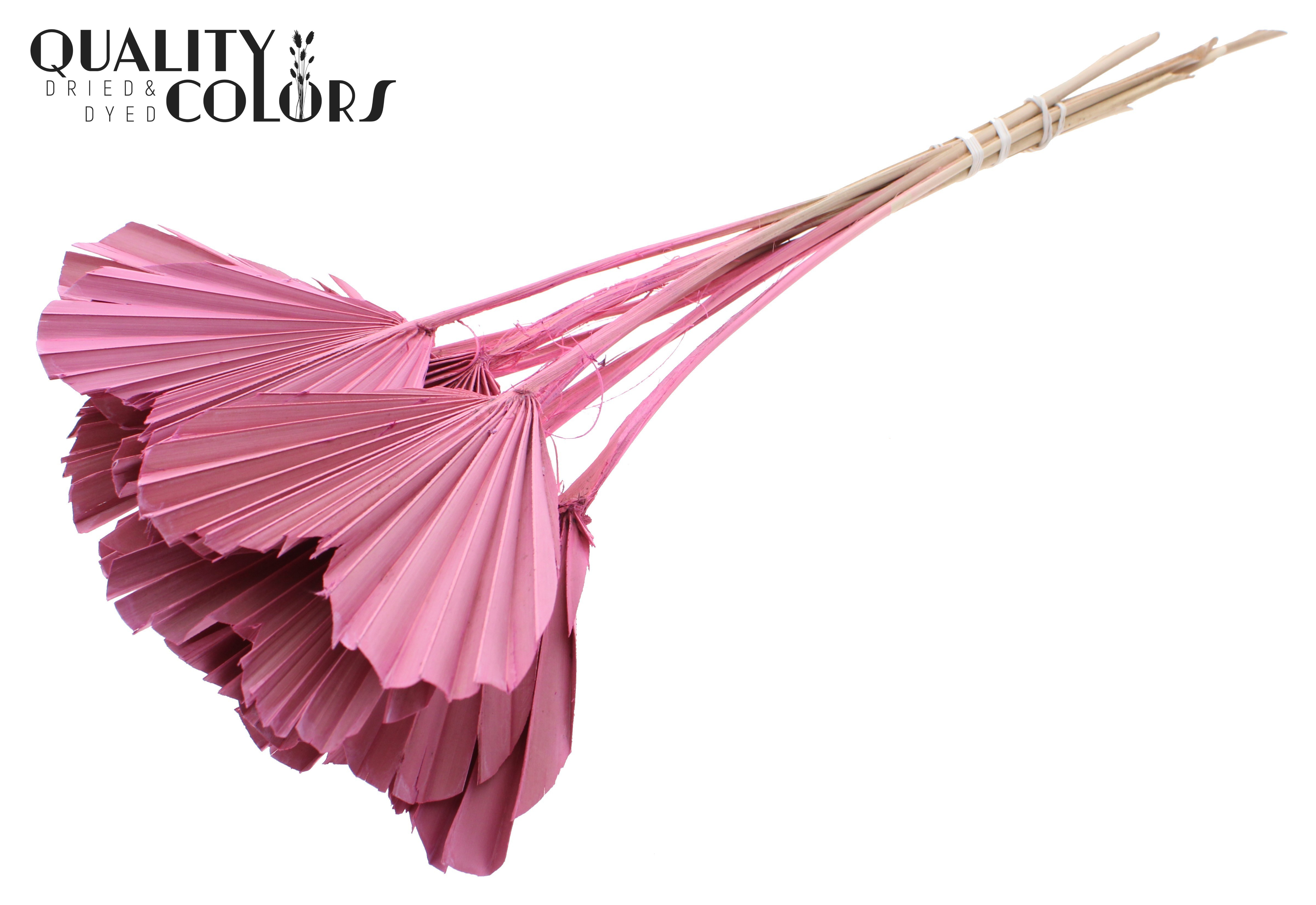 Palm Spear Heart Frosted Light Pink 45cm
