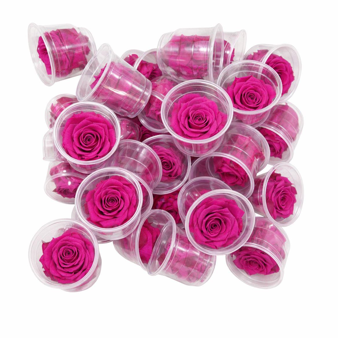 Ro Pres Medium Fuchsia