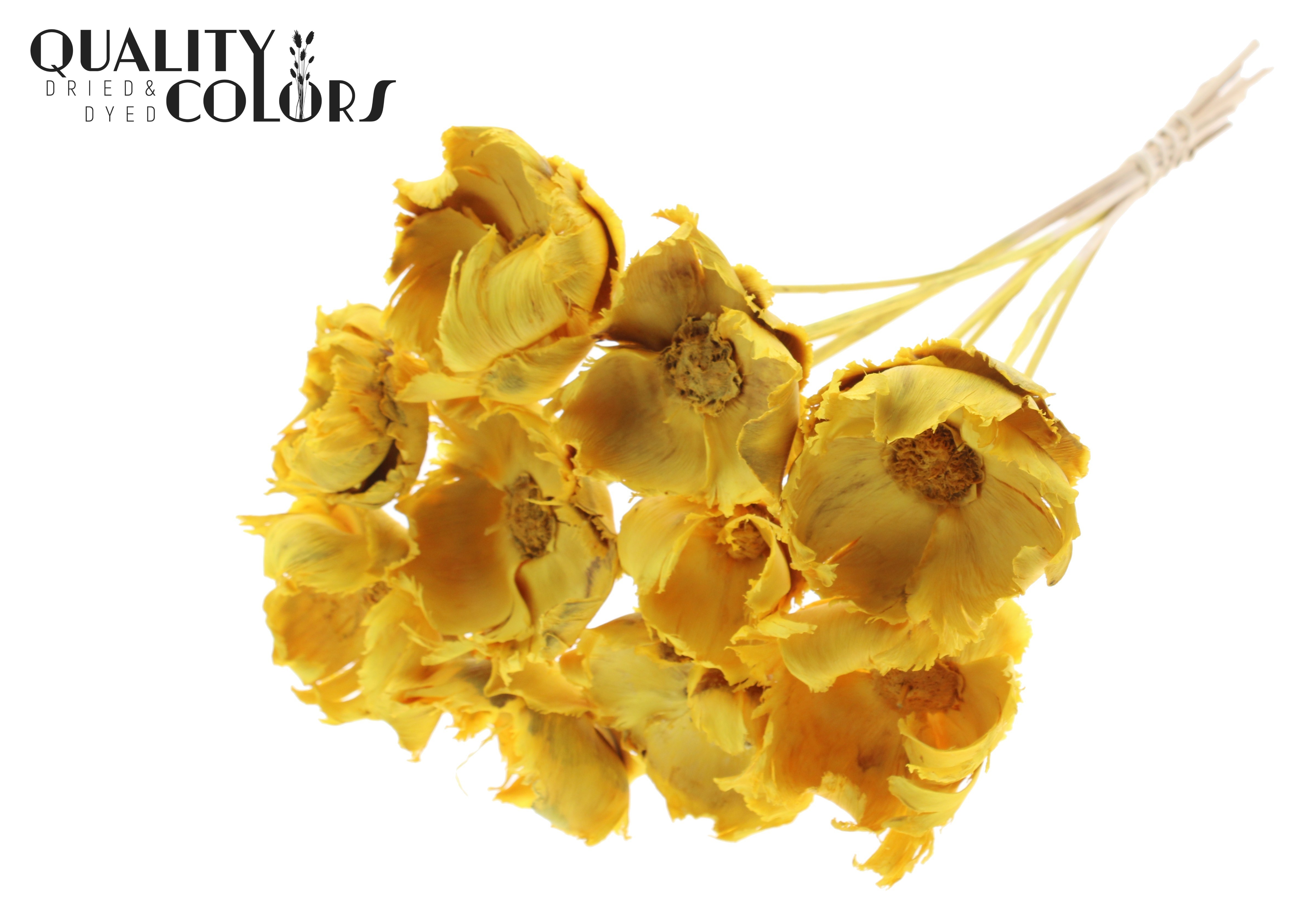 Palm Cup Intense Yellow 50cm