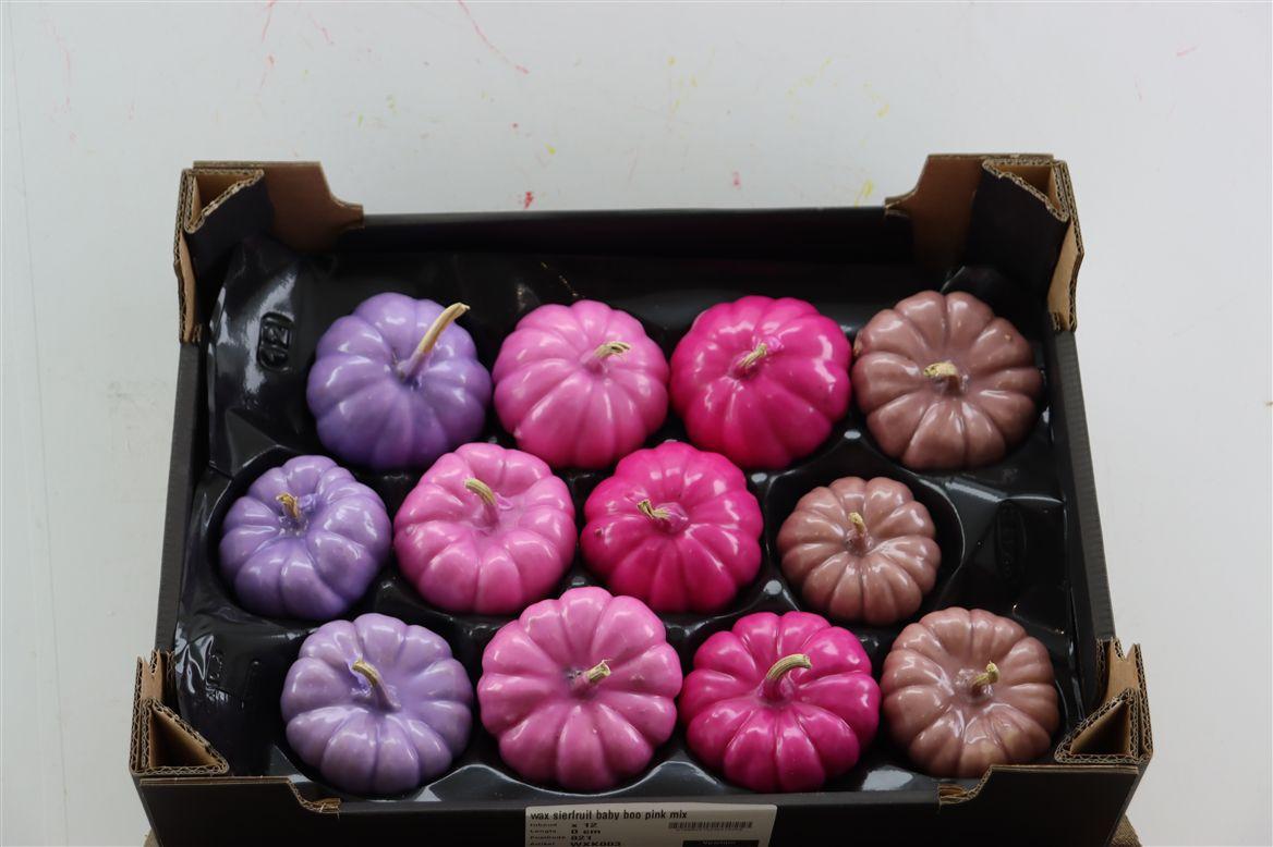 Wax Sierfruit Baby Boo Pink Mix