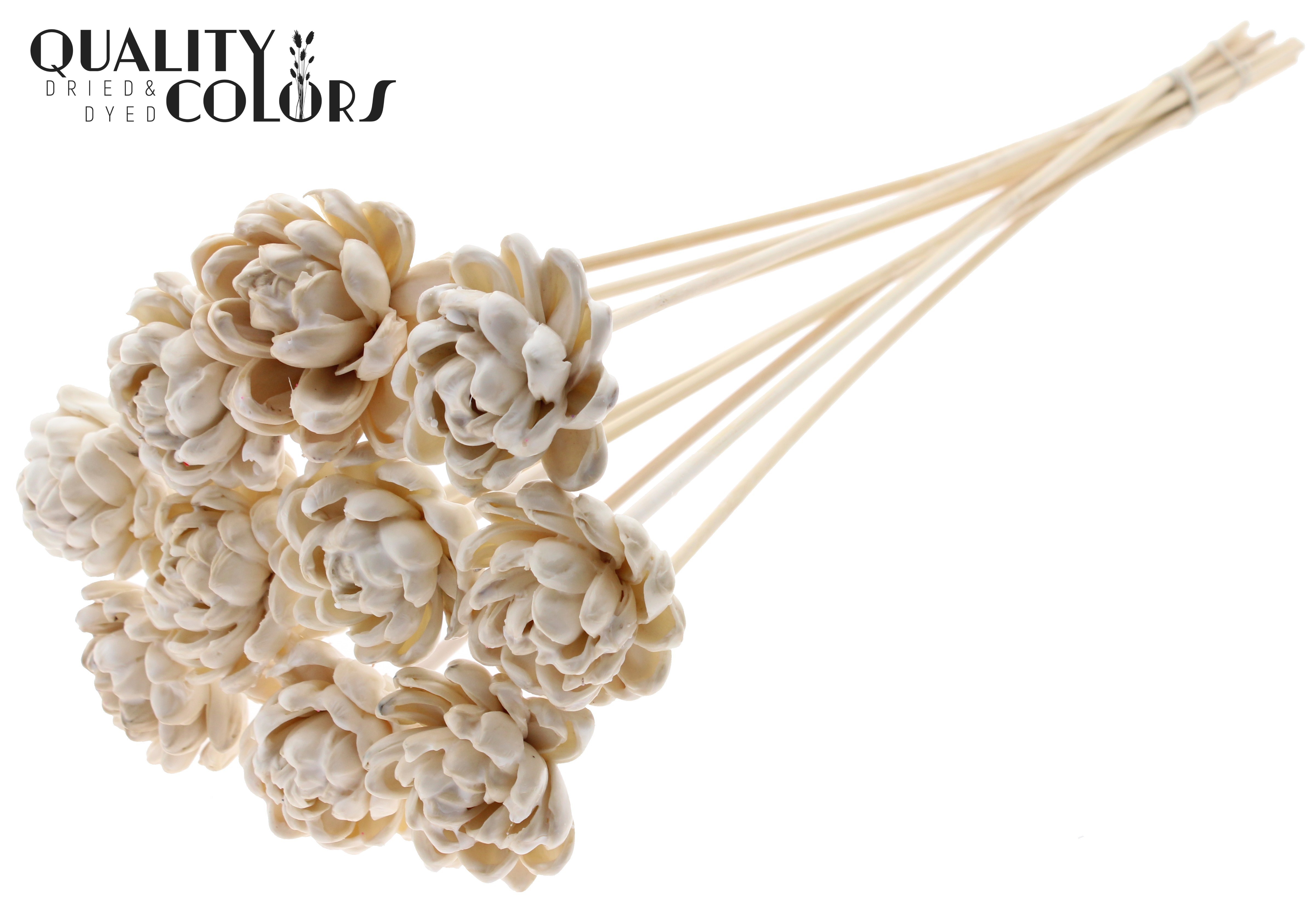 Shola New Beauty Rose Wax White 50cm
