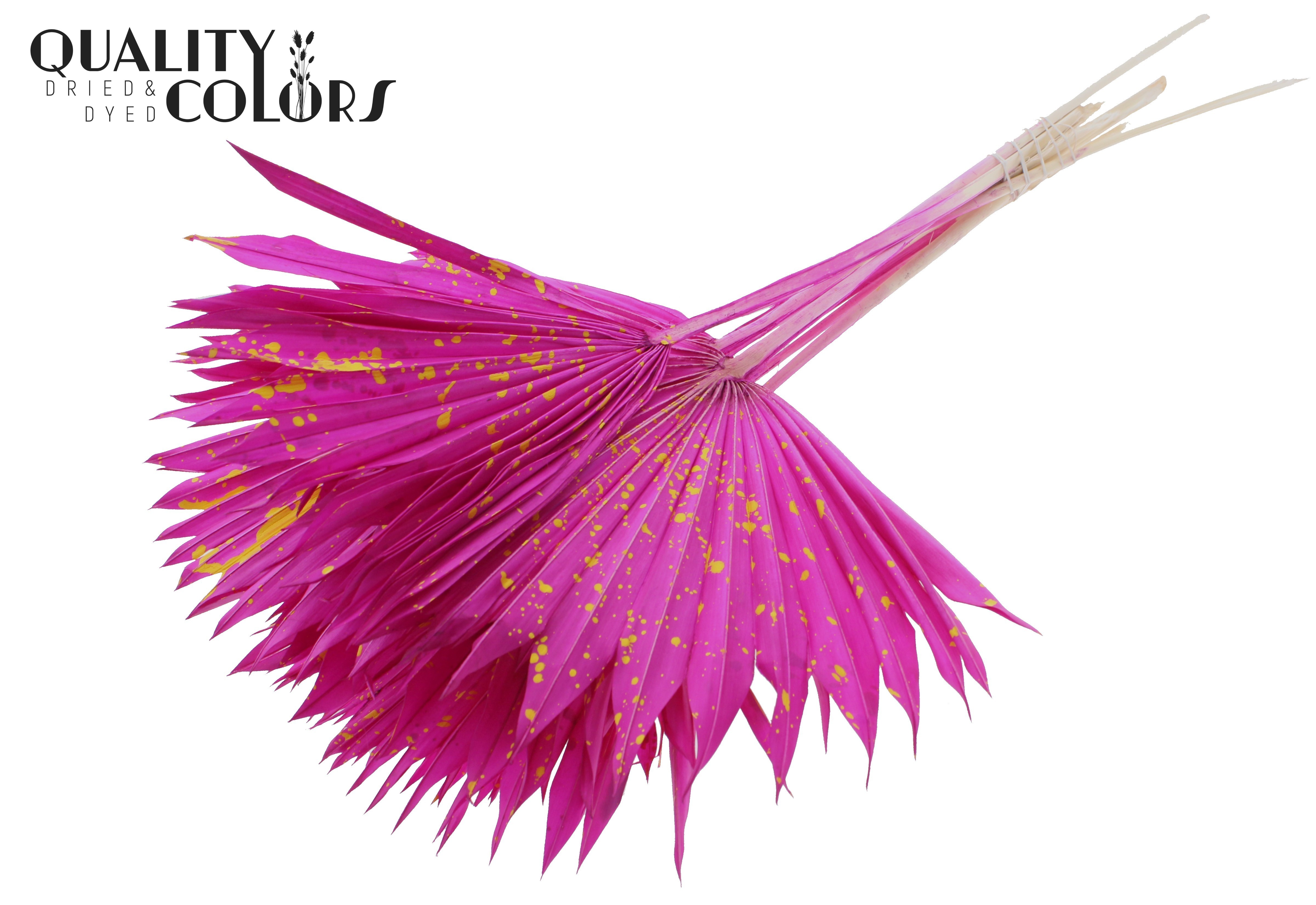 Palm Sun Splashed Lilac Yellow 50cm