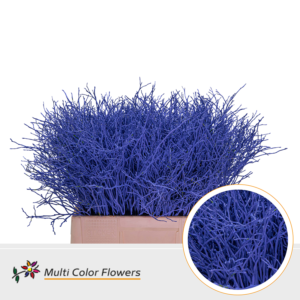 Heidelbeer Blauw Donker