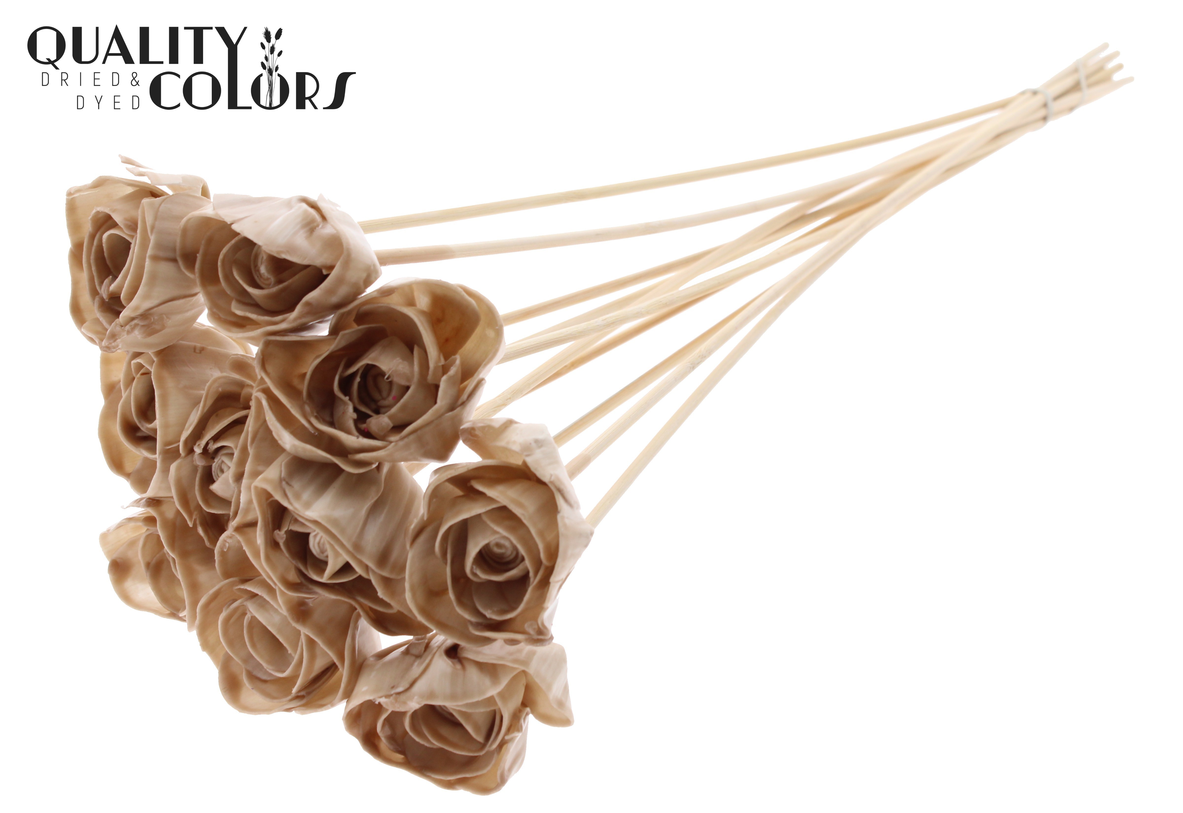 Shola Dear Holly Wax Beige 50cm