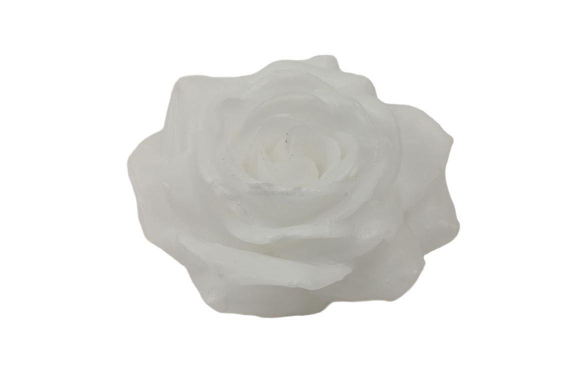 Wax Rose D10 White
