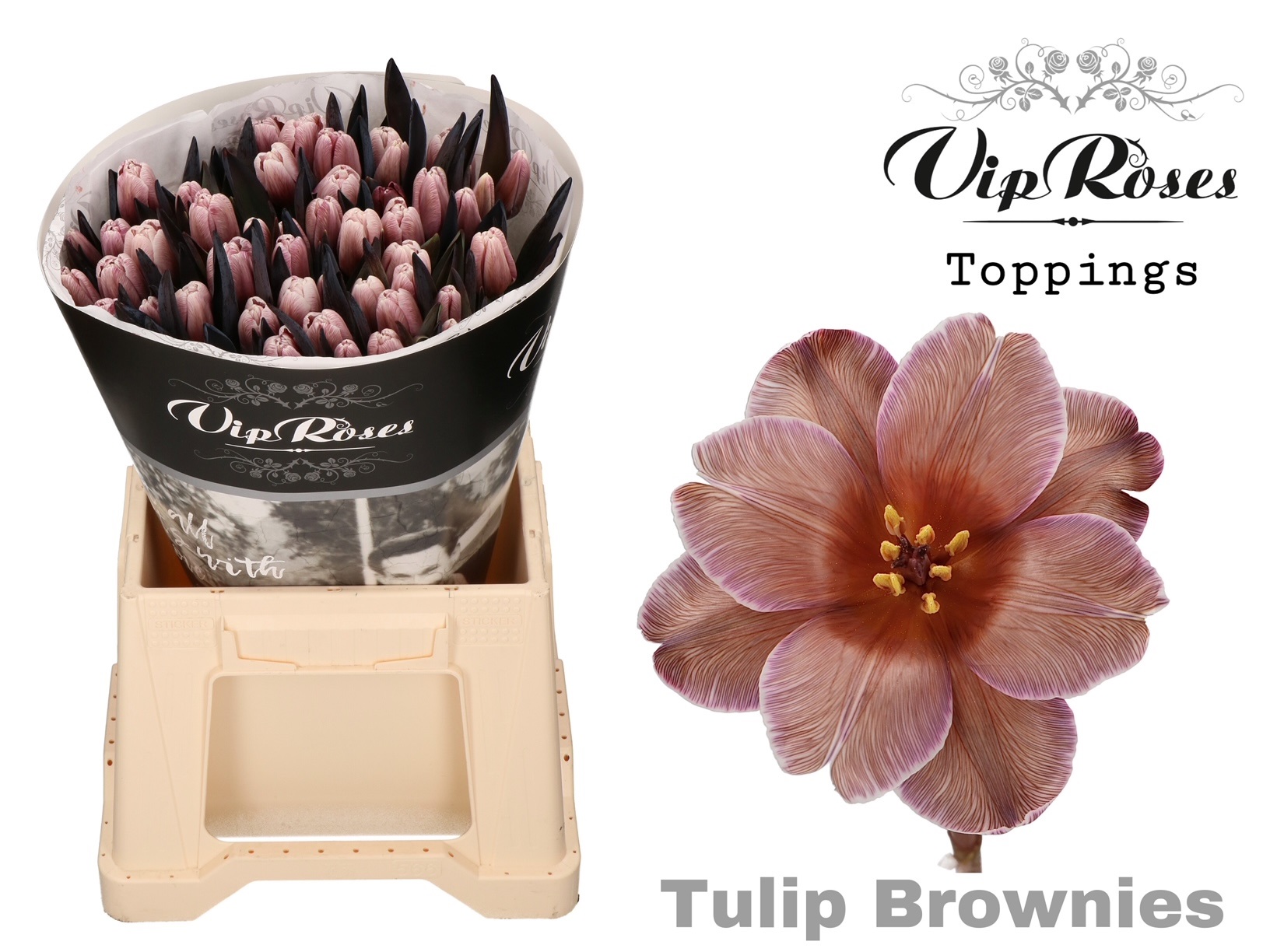 Tulipány (špeciál)
