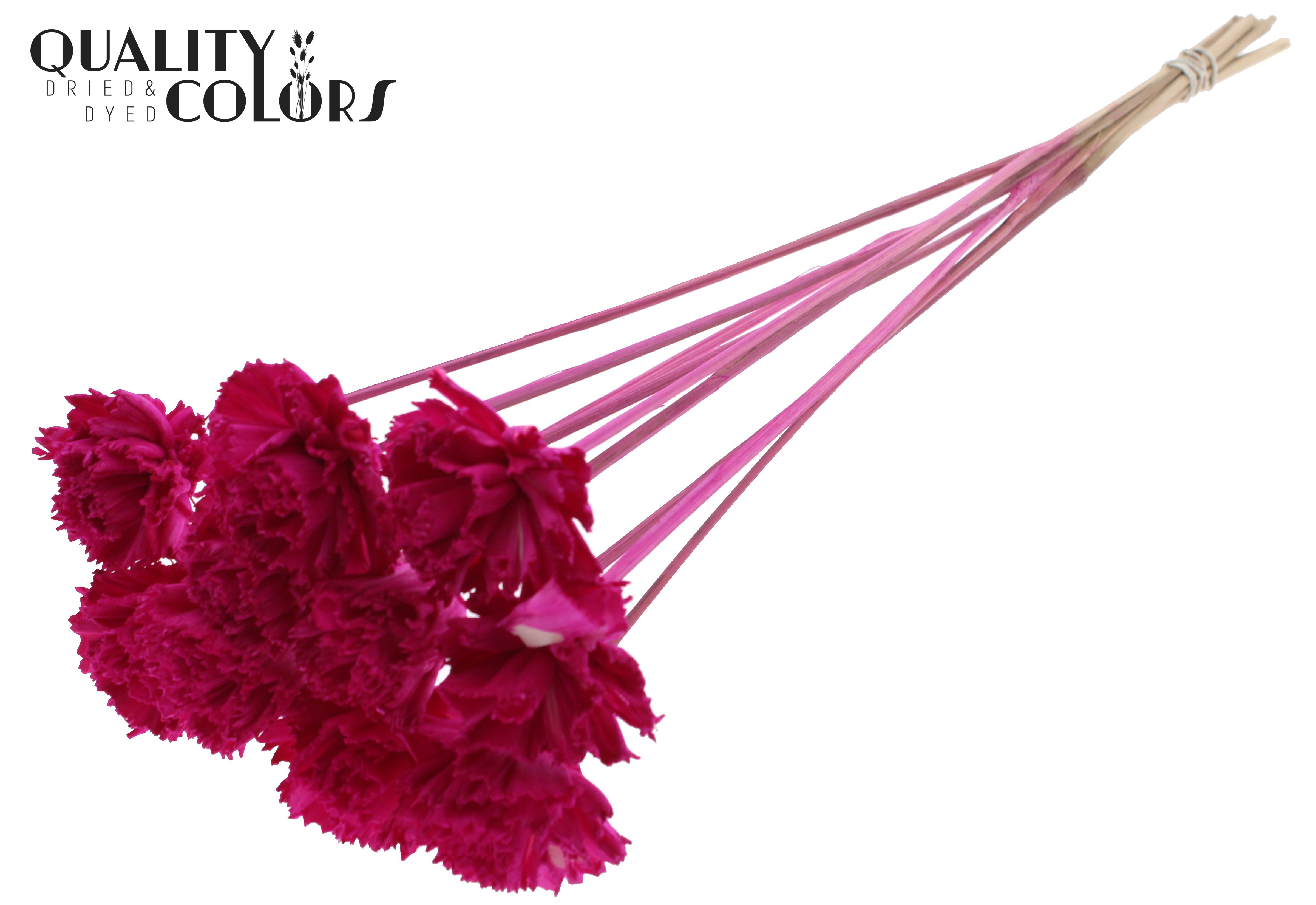 Shola Karnish Flower Lilac 50cm