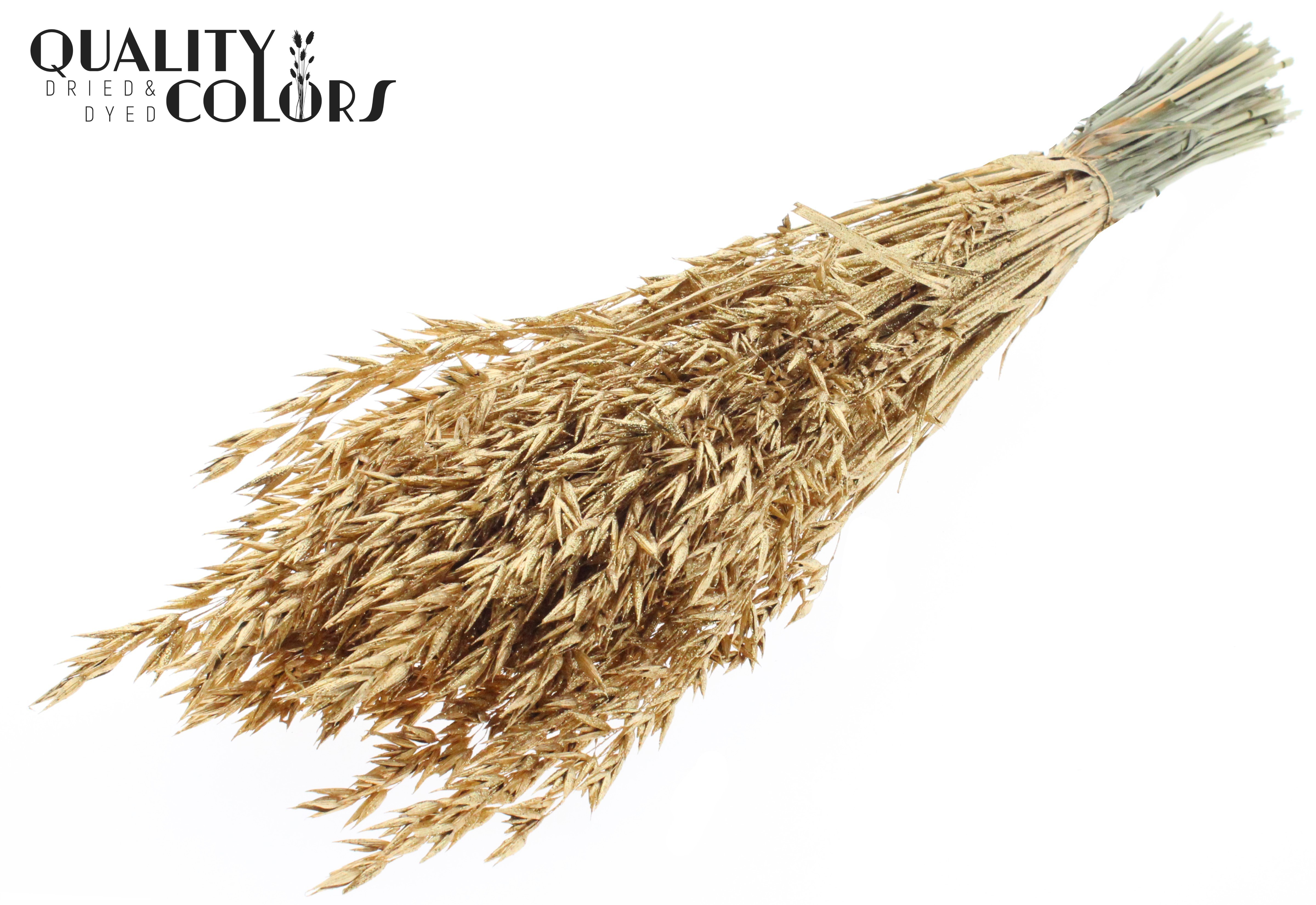 Avena Antique Gold + Glitter Per Bunch 60cm