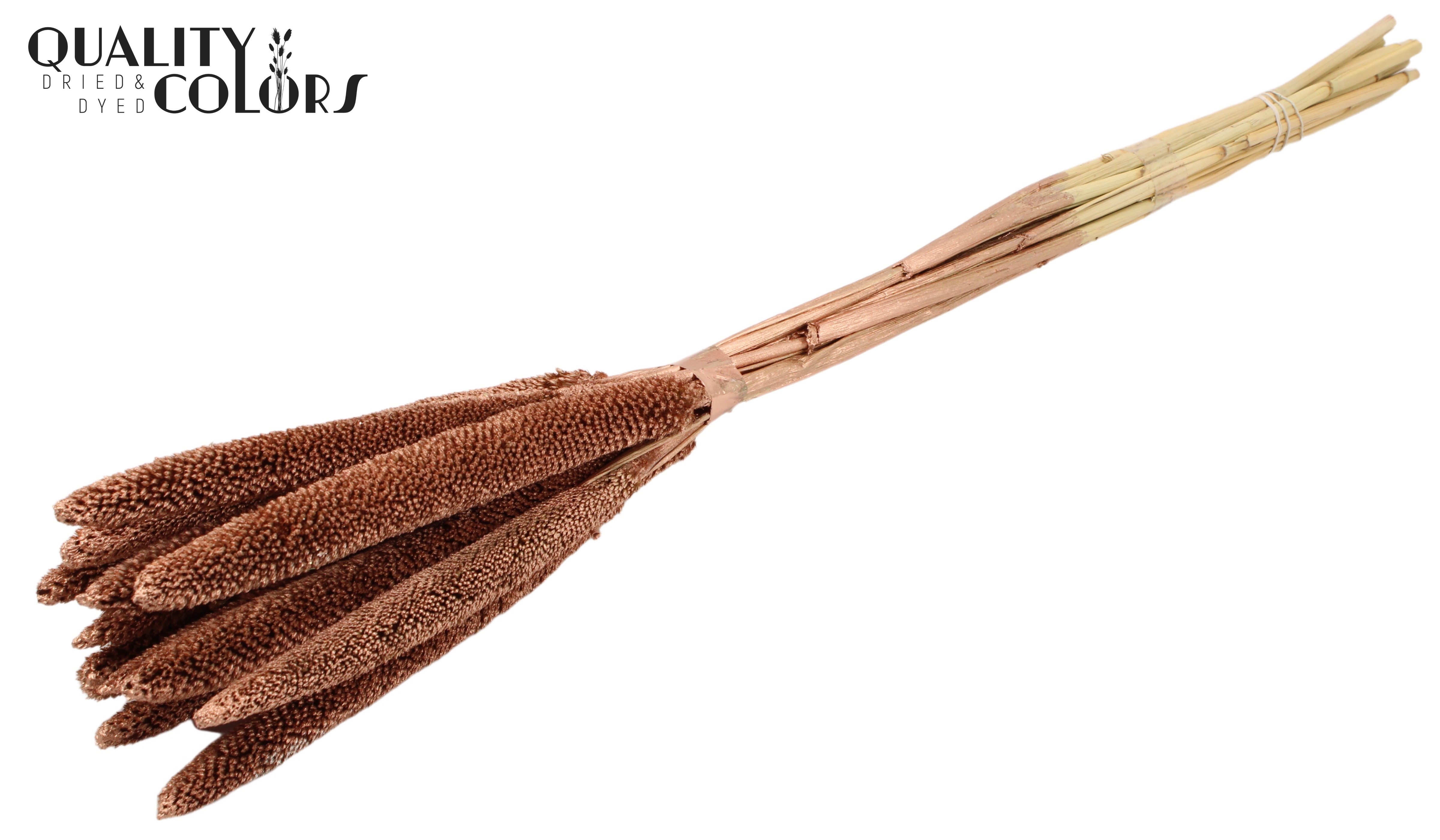 Babala Copper 65cm