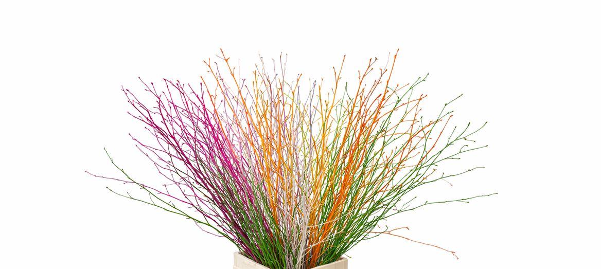 Berk 70cm Summer Mix Bunch