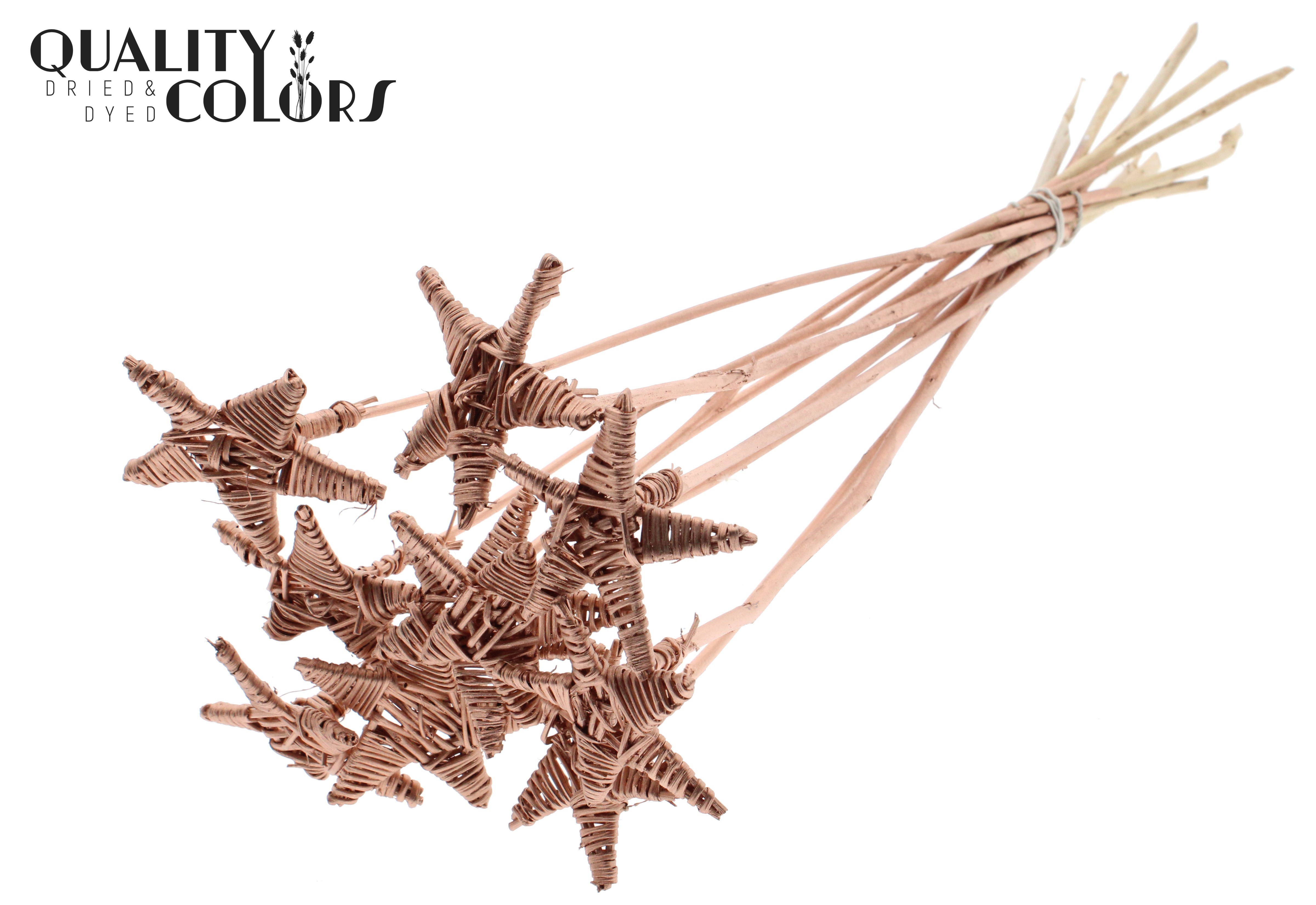 Lata Star Copper 50cm