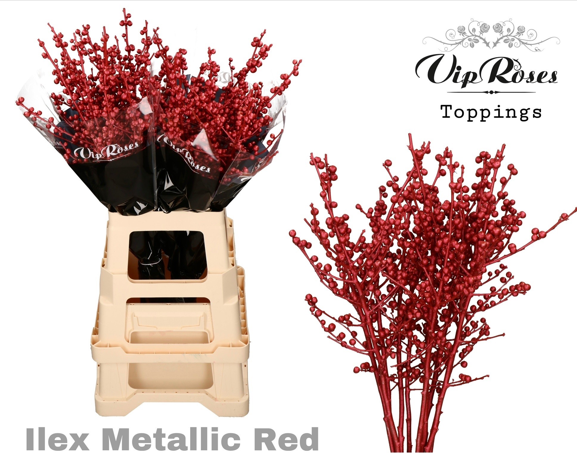 Ilex Dyed Frosty 70cm