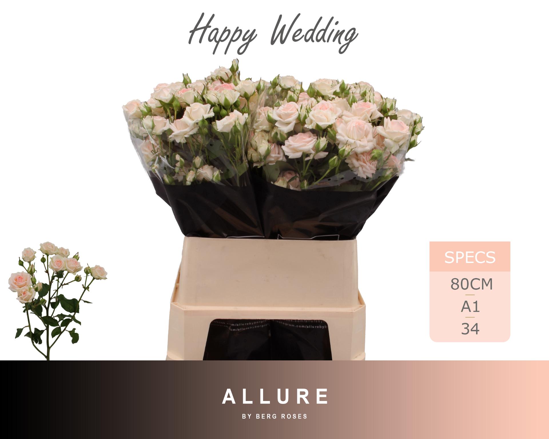R Tr Happy Wedding 80cm