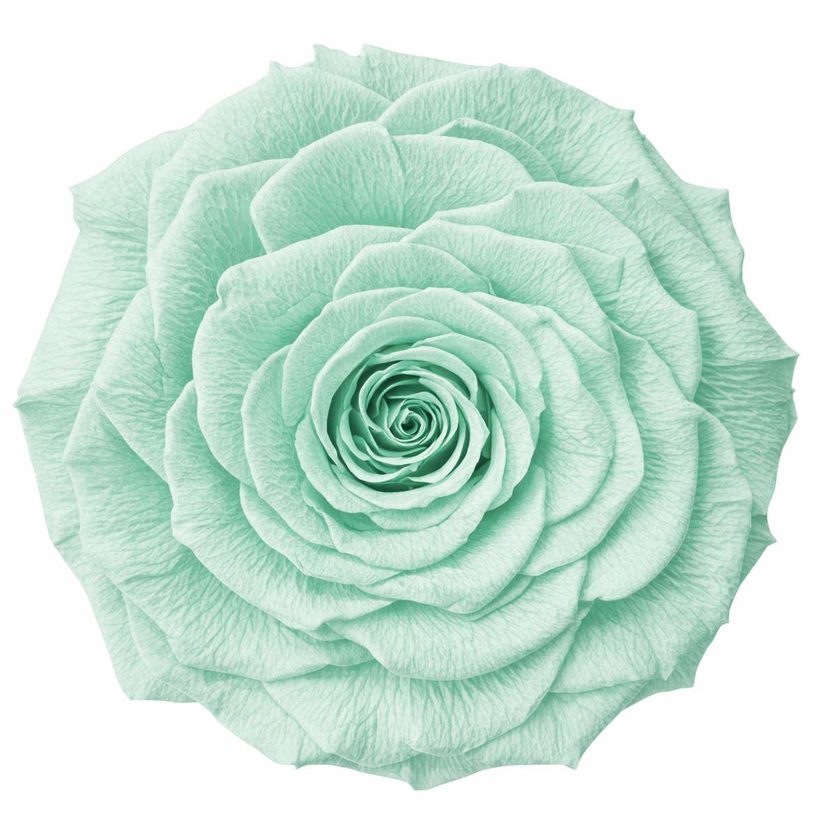 Ro Pres Xl Green Mint