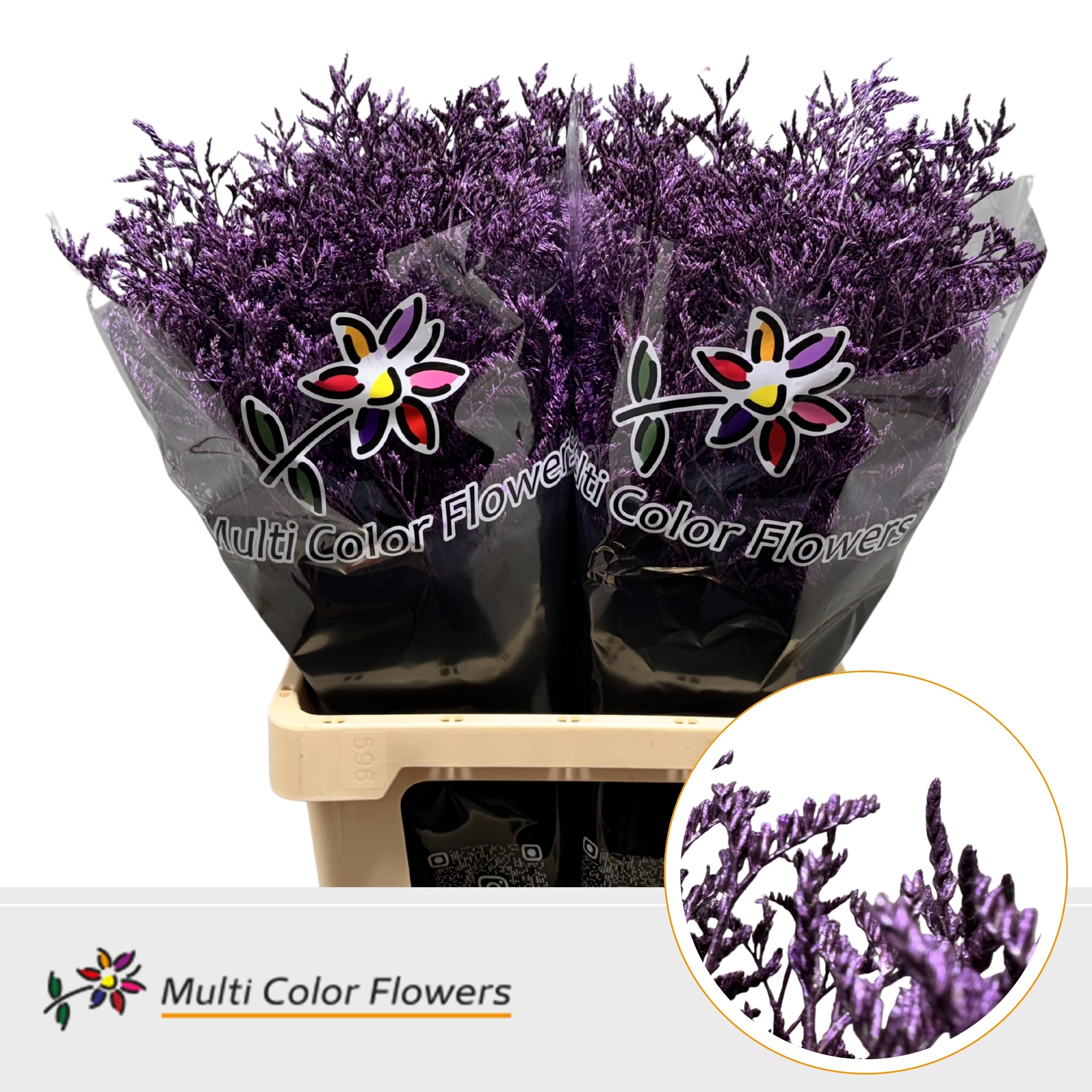 Limonium Metallic Lila Donker