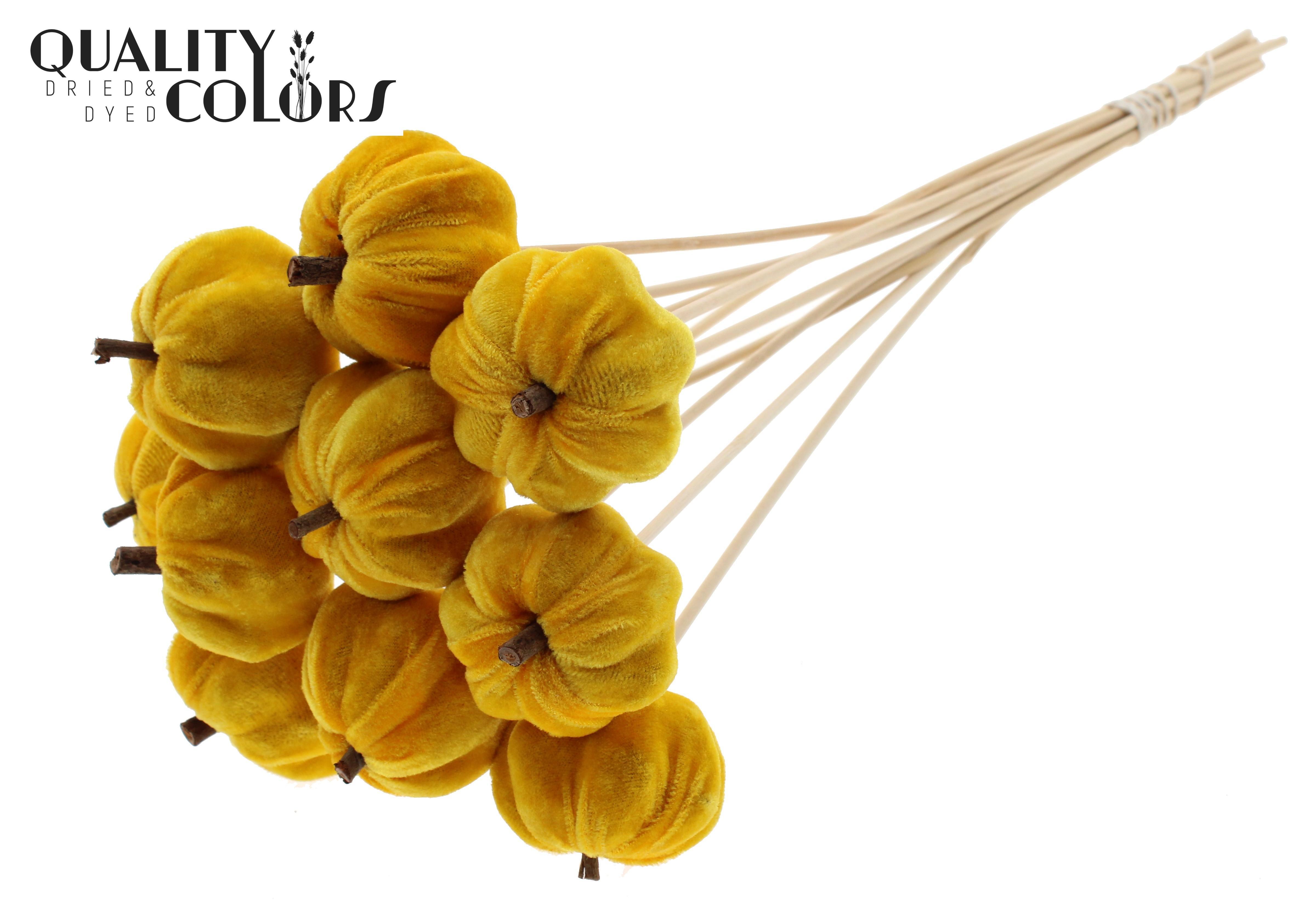 Velvet Pumpkin Yellow 50cm