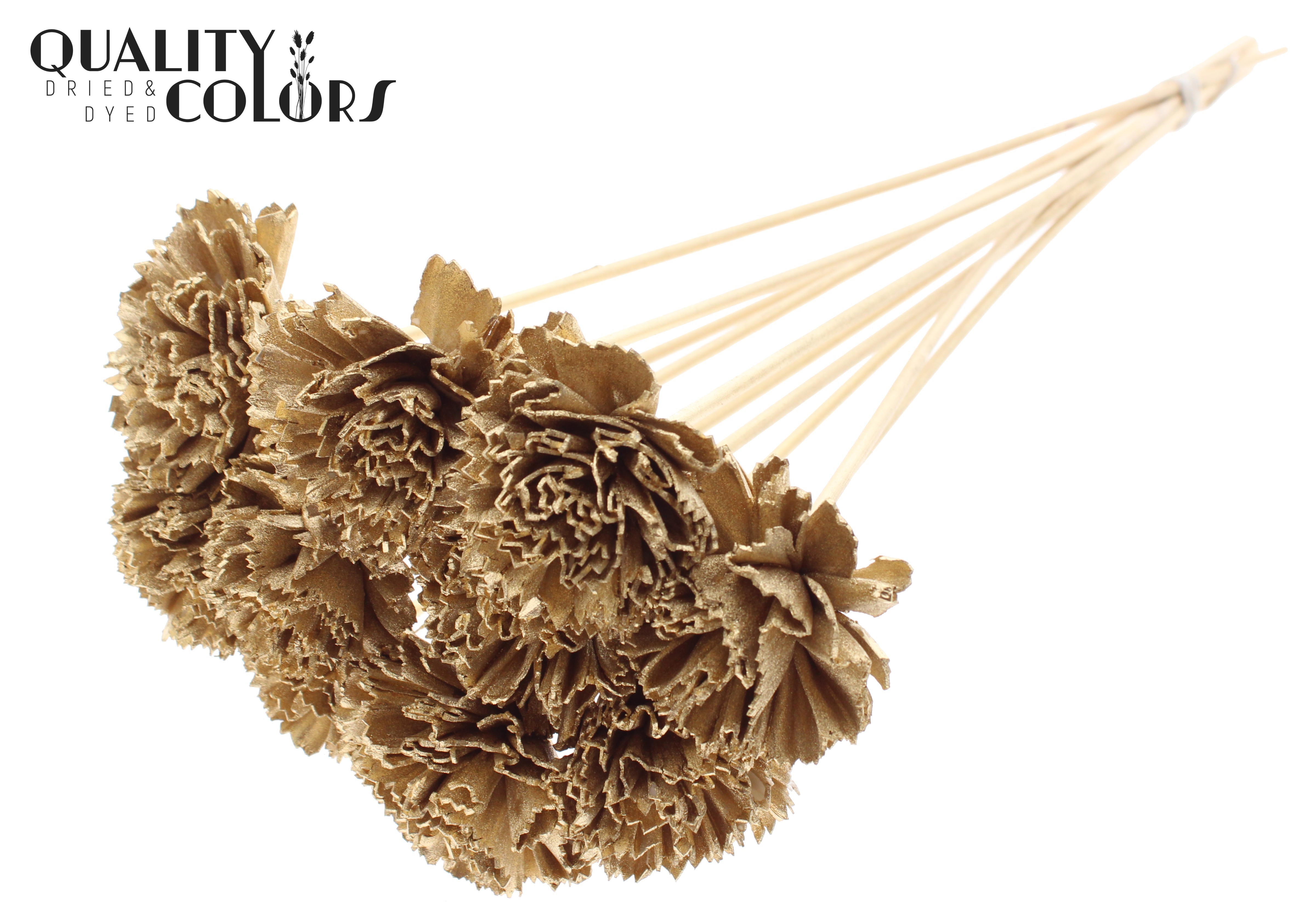 Shola Karnish Flower Antique Gold 50cm