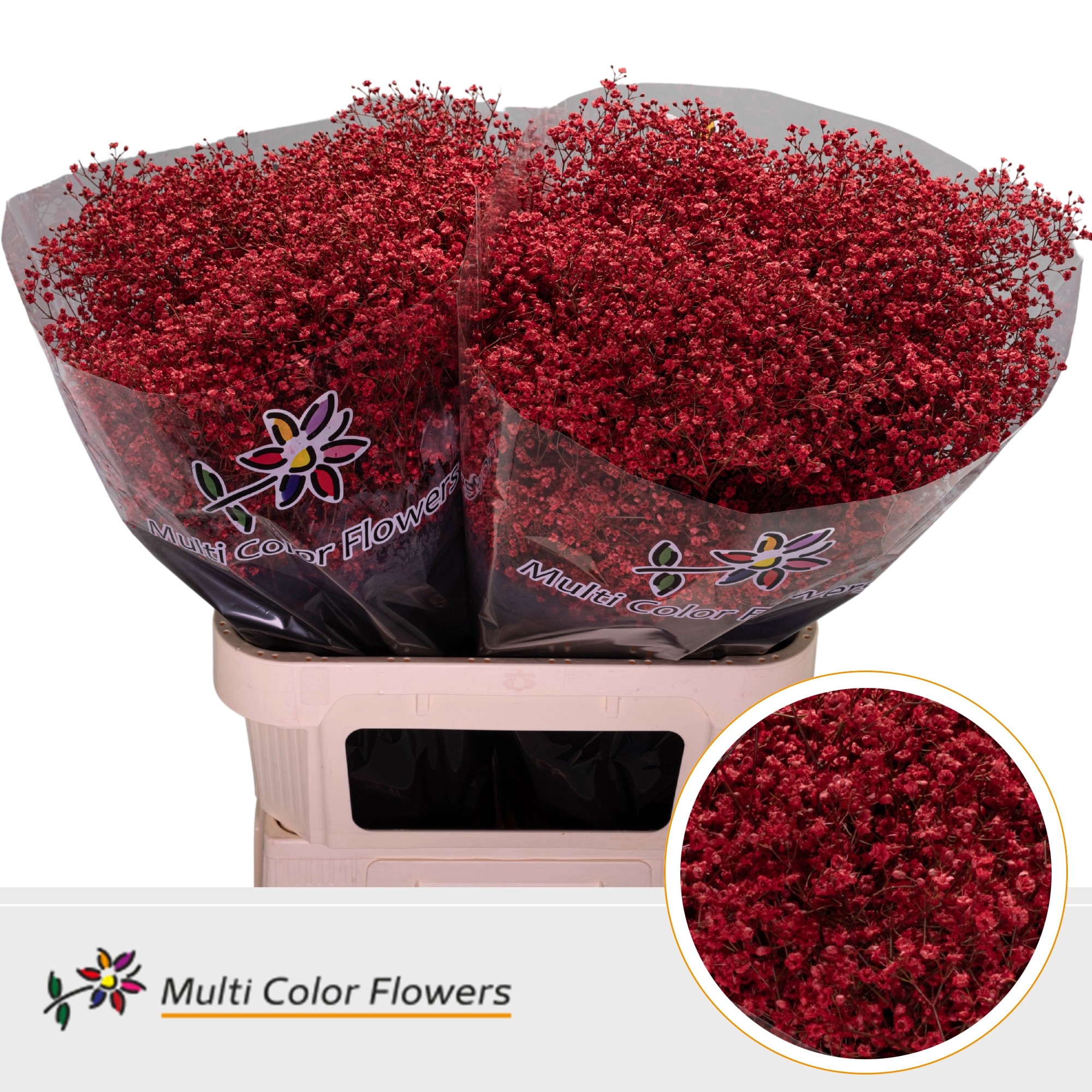 Gypsophila Painted Million Star Red 80cm