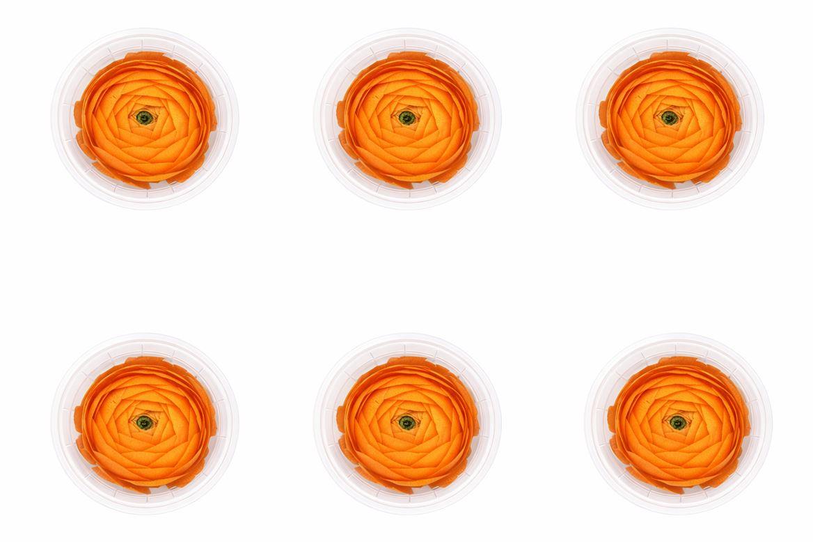 Ran Pres Orange