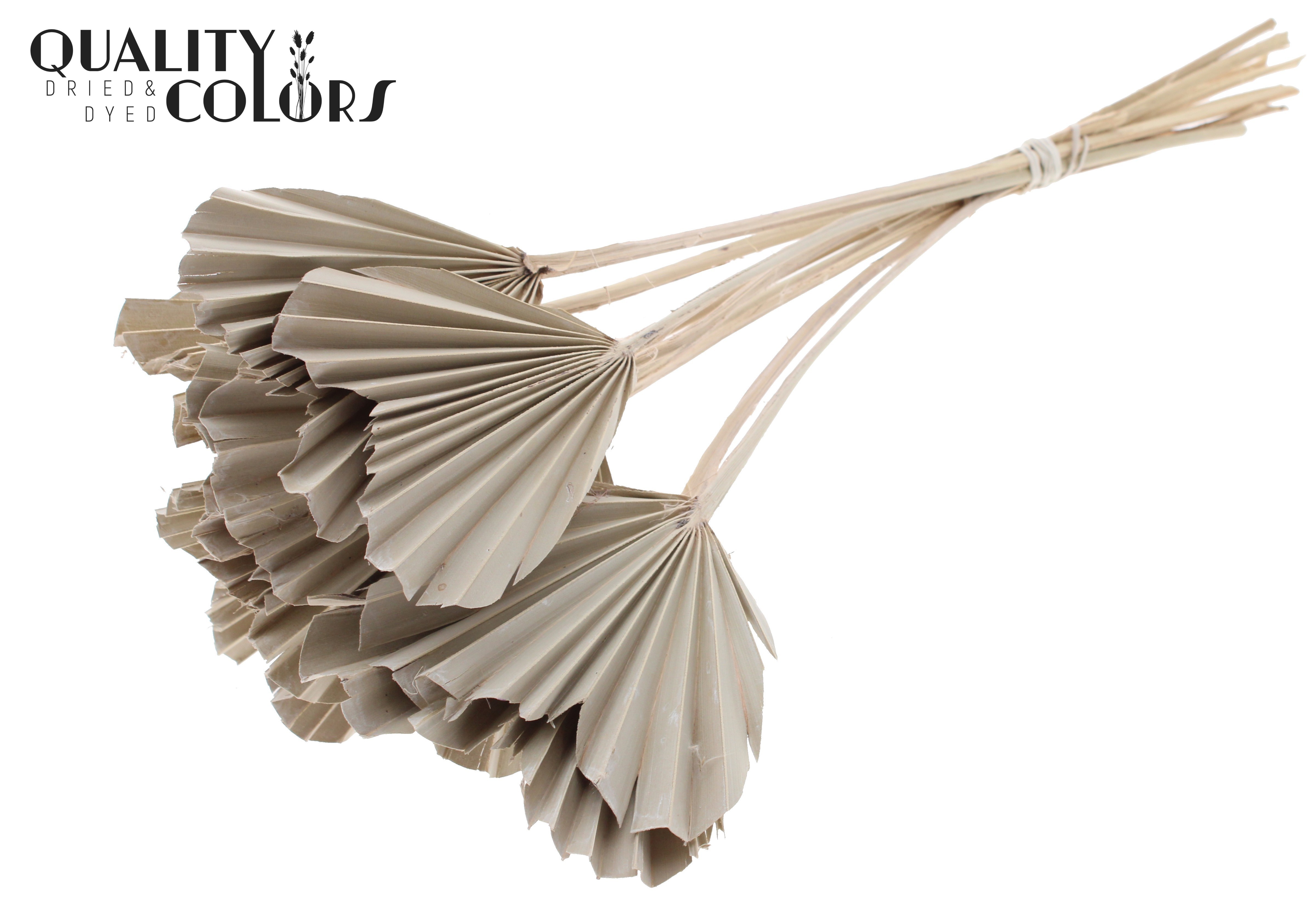 Palm Spear Heart Frosted White 45cm