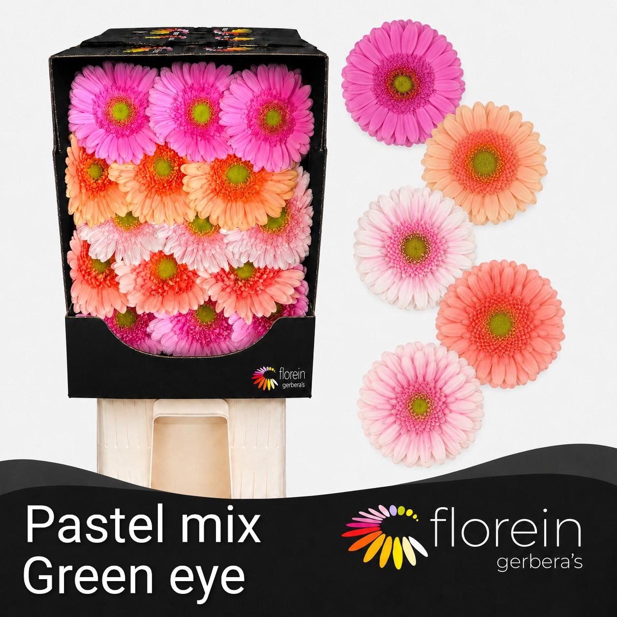 Ge Gr Pastel Mix Diamond *45 (green Eye)