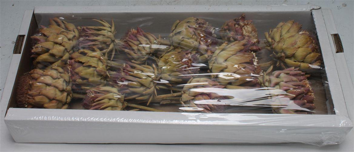 Artichoke Natural ( X 14 St )
